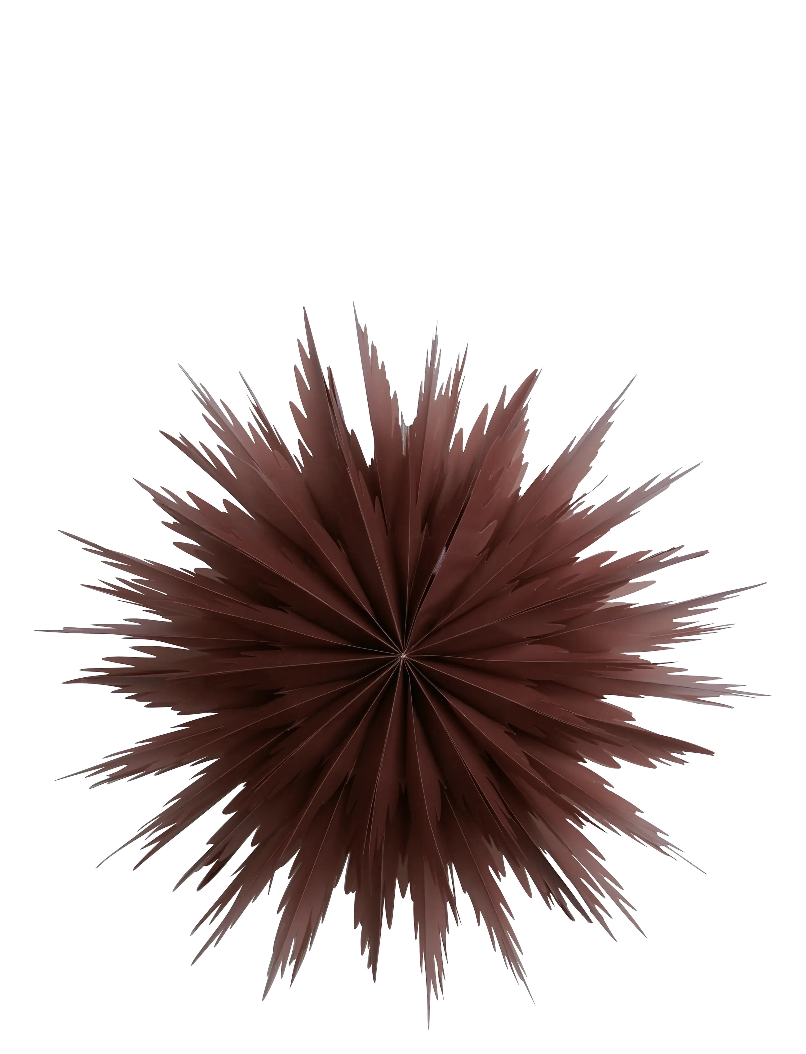 Watt & Veke Liz - View all - RED OCHRE / burgundy