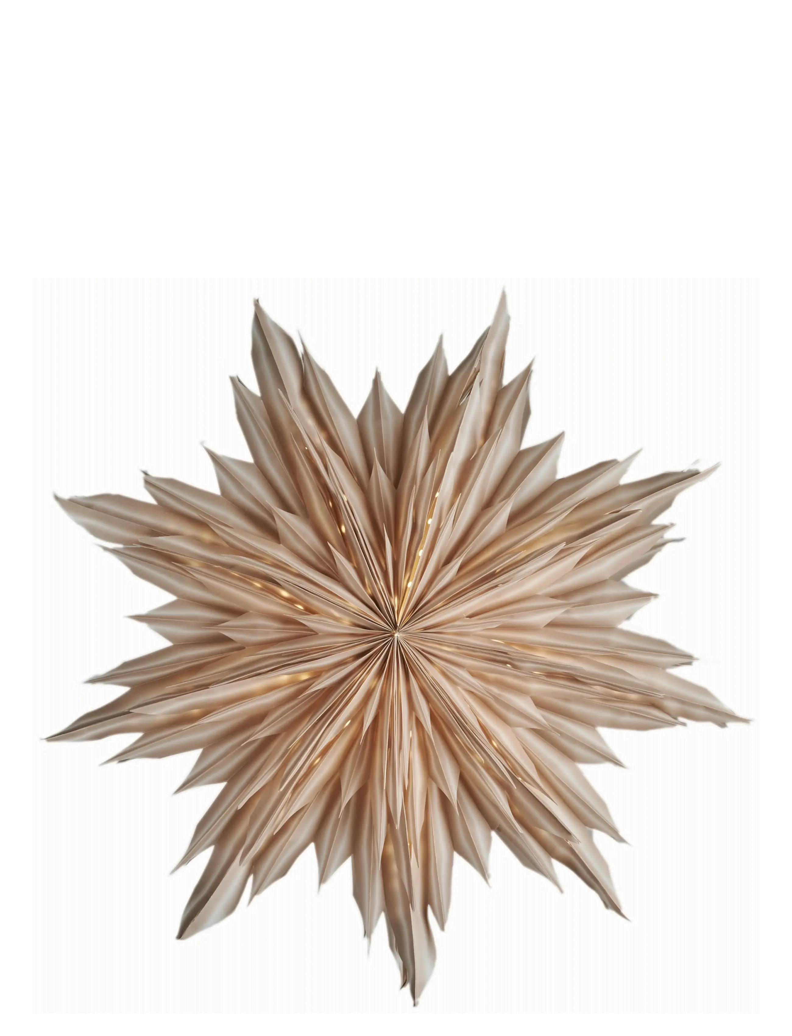 Watt & Veke - Helena 44 Beige - beige - 2