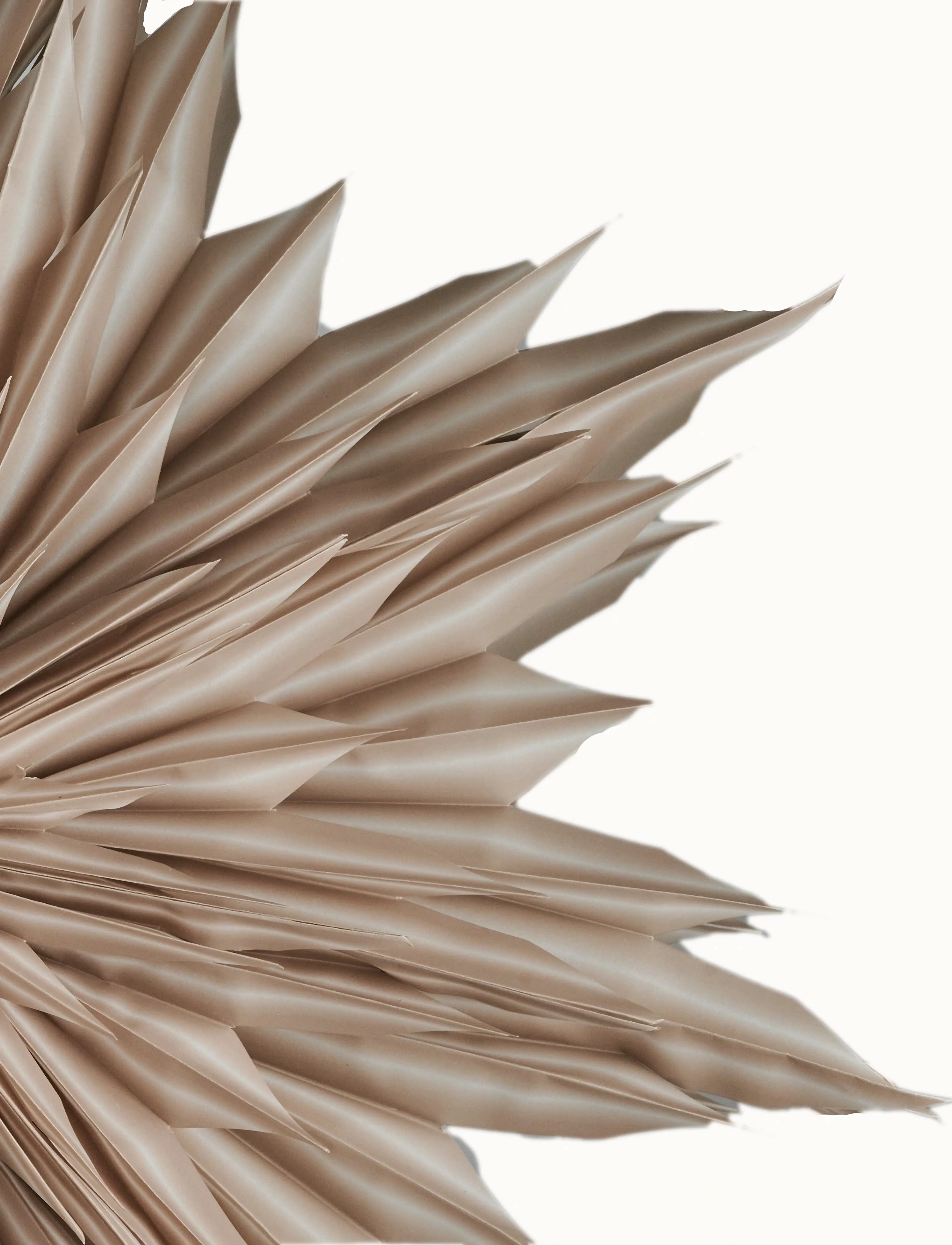 Watt & Veke - Helena 44 Beige - beige - 5