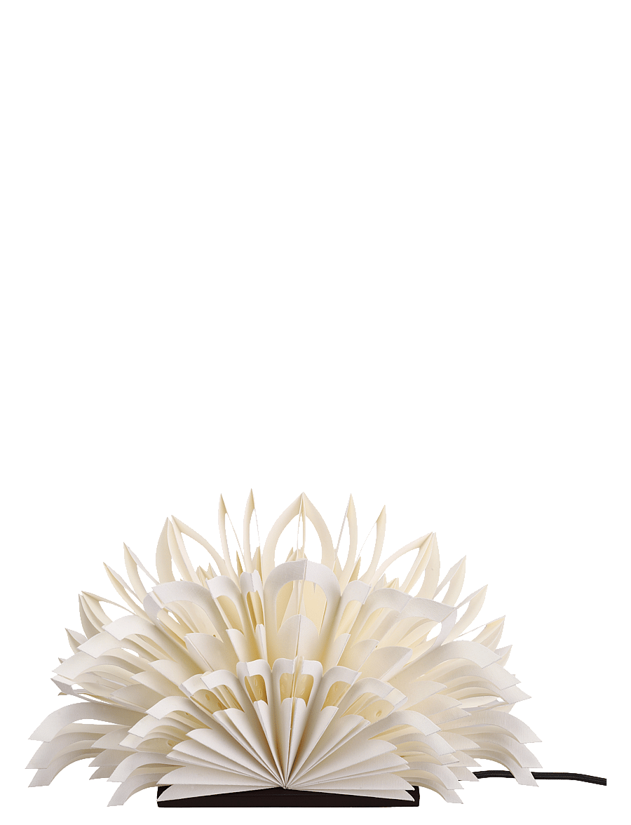 Watt & Veke - Mezza Clara - white/ coffee - 1