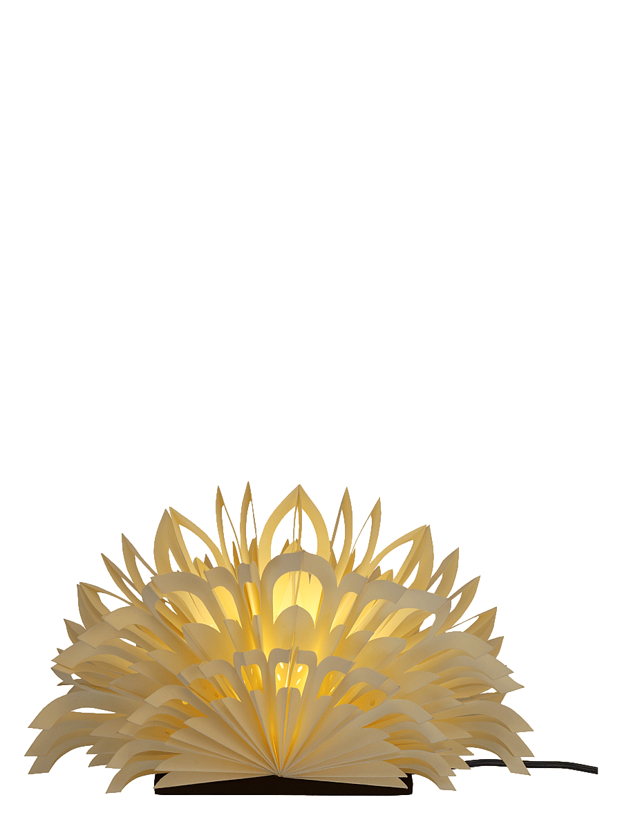 Watt & Veke - Mezza Clara - white/ coffee - 2