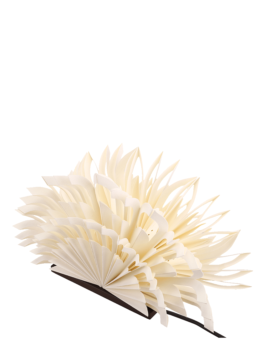 Watt & Veke - Mezza Clara - white/ coffee - 3