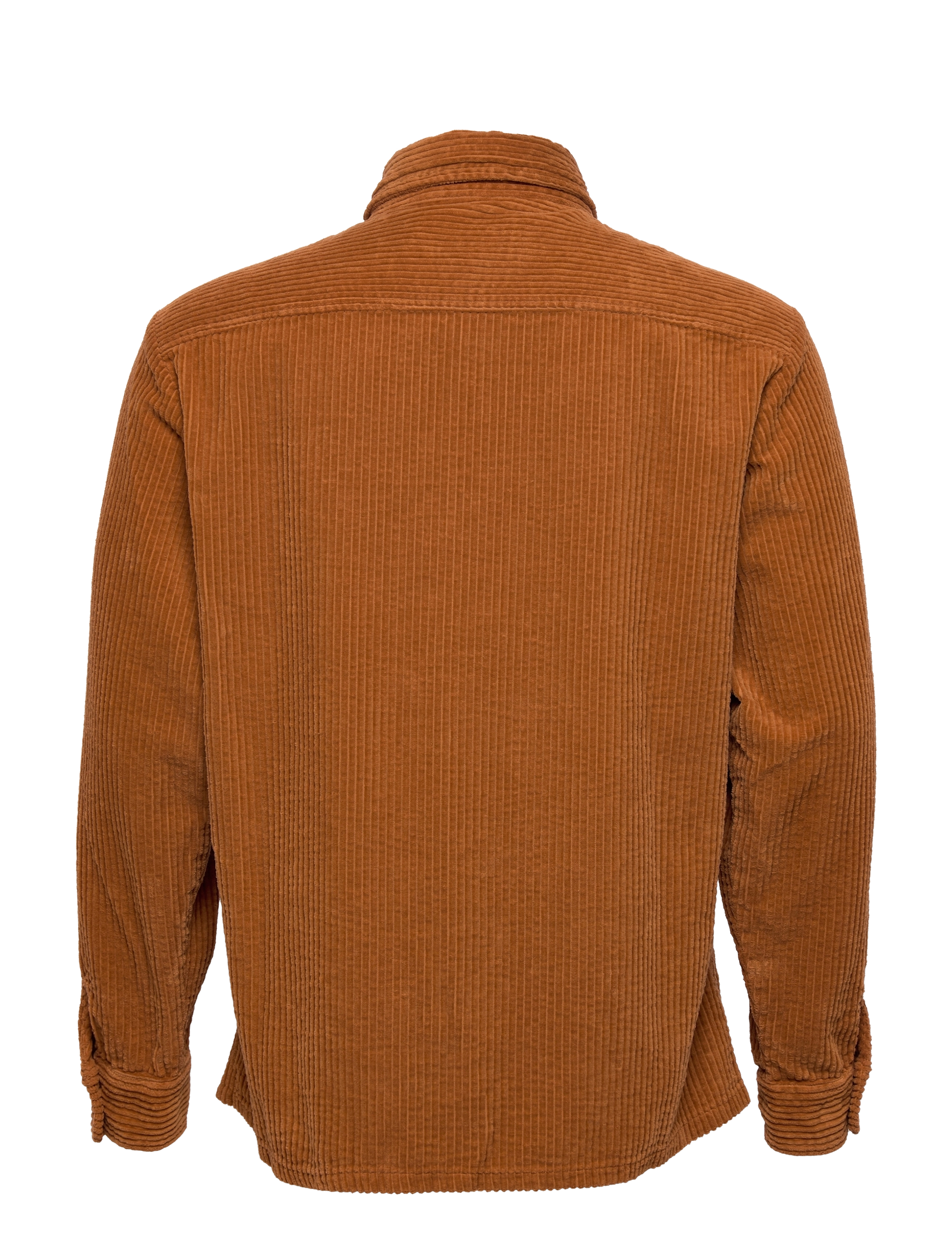 Wax London - WHITING OVERSHIRT JUMBO - orange - 1