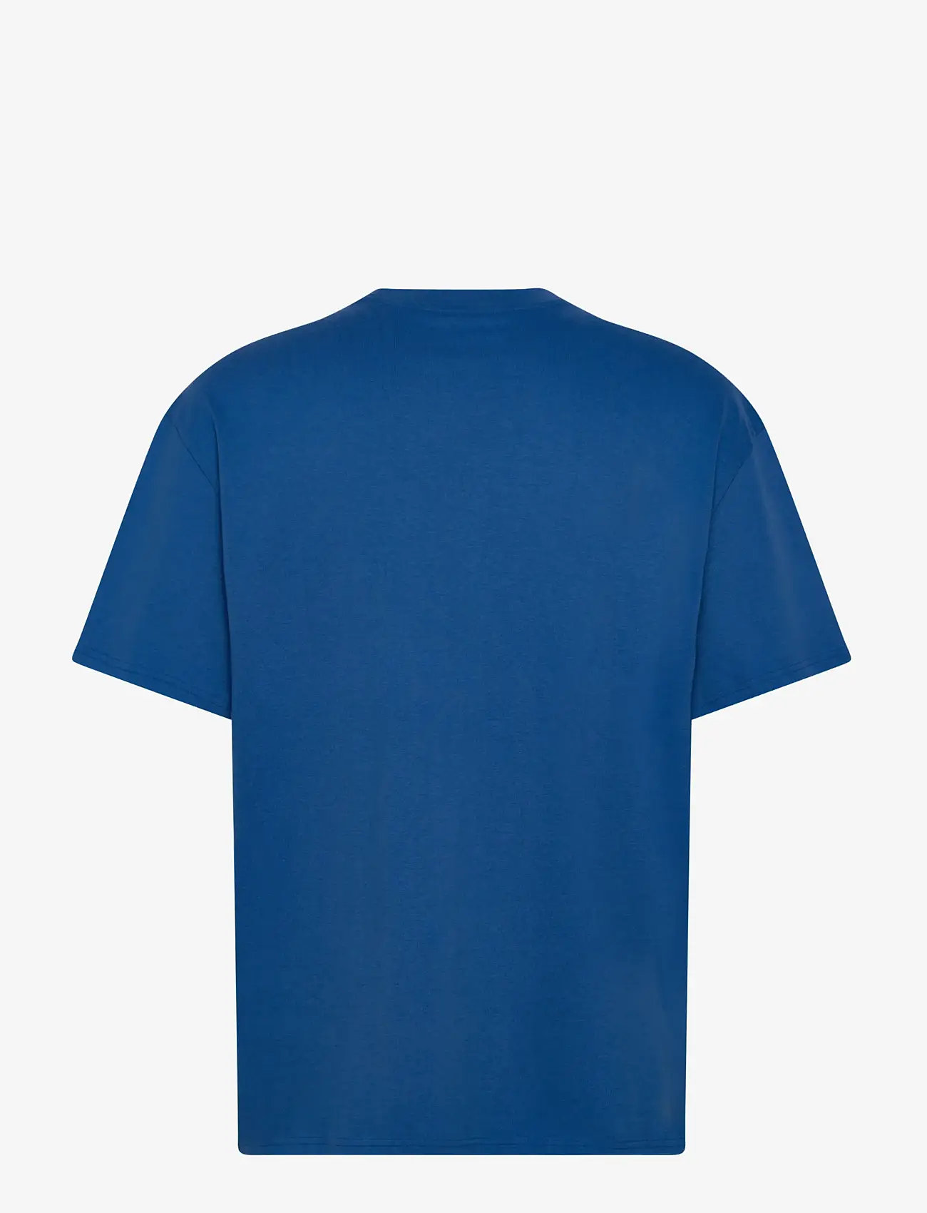 Weekday - Great Heavyweight T-shirt - lühikeste varrukatega t-särgid - blue bright - 1