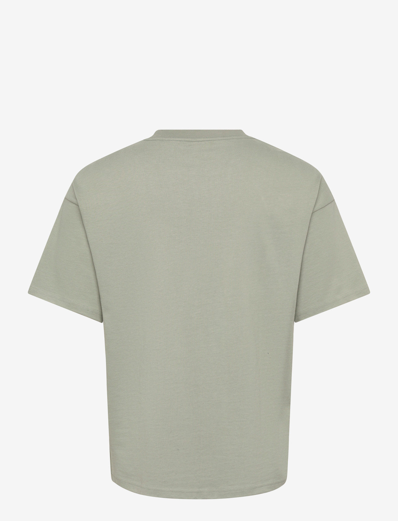Weekday - Loose Boxy T-shirt - kortærmede t-shirts - sage green - 1