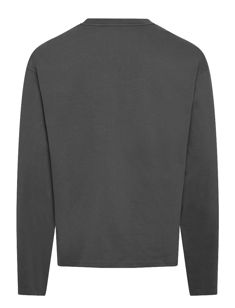 Weekday - Great Boxy Graphic Long Sleeve T-shirt - langärmelig - dark grey air flame - 1
