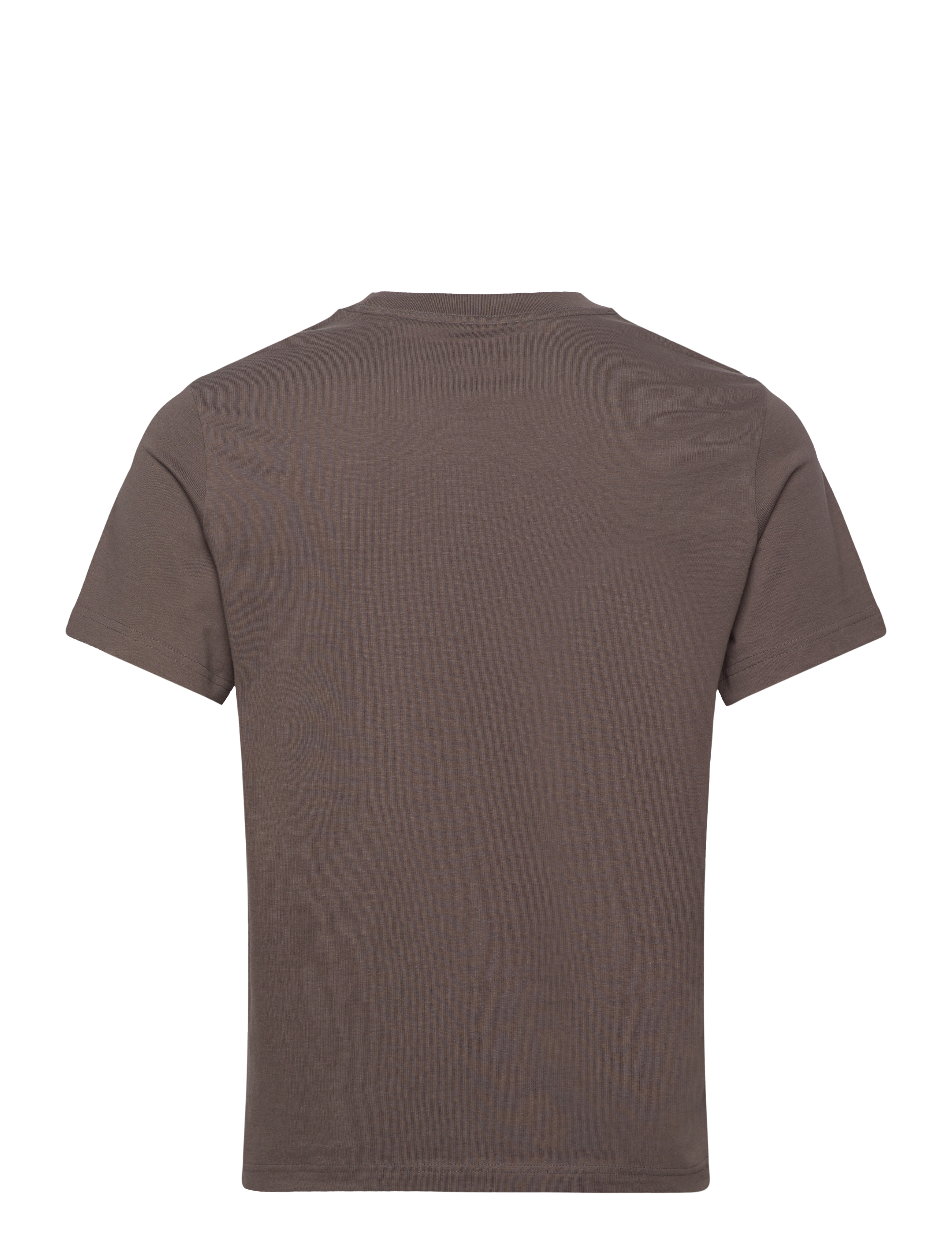 Weekday - CLASSIC FIT T-SHIRT - kortermede t-skjorter - mole - 1