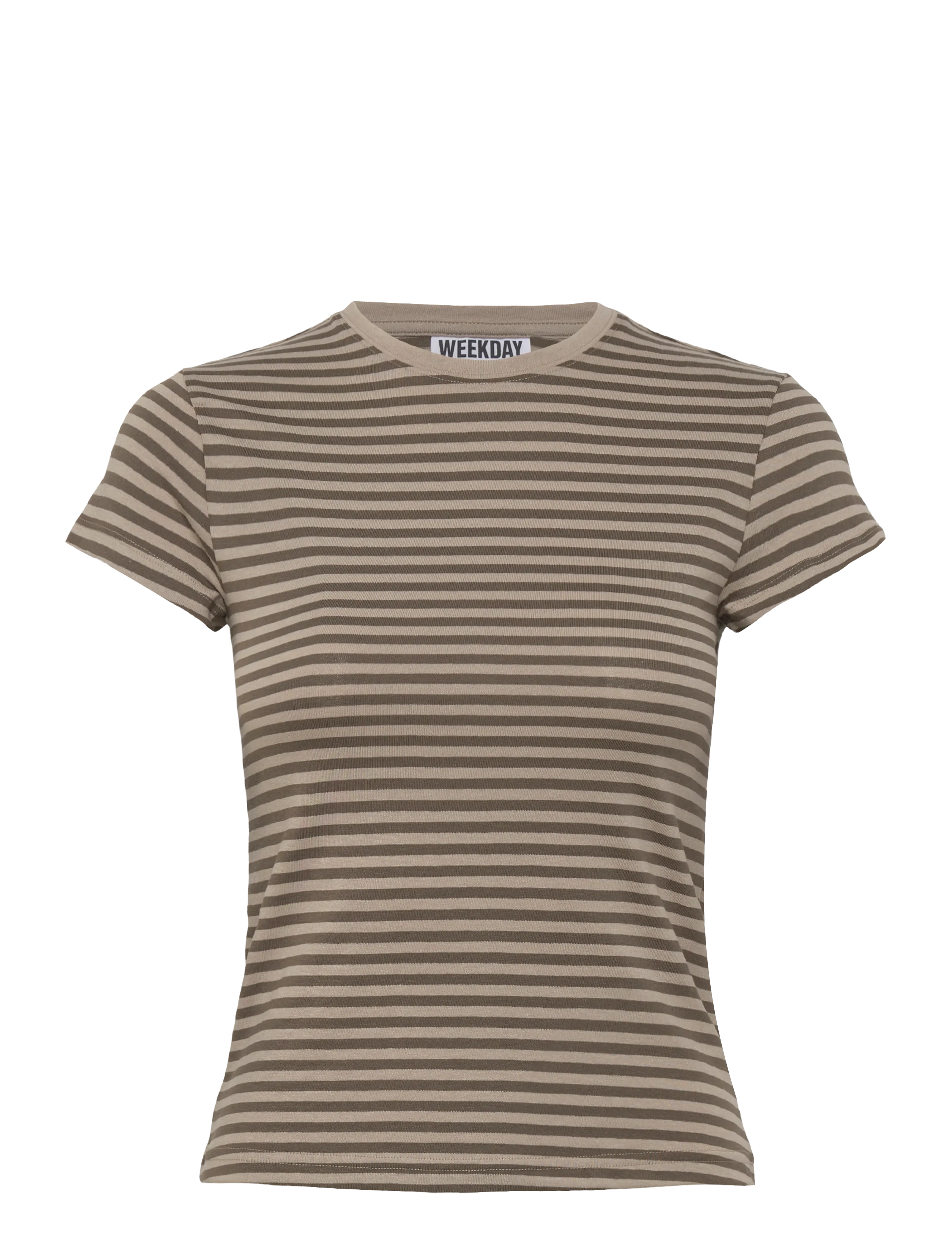 MOLE DUSTY STRIPE