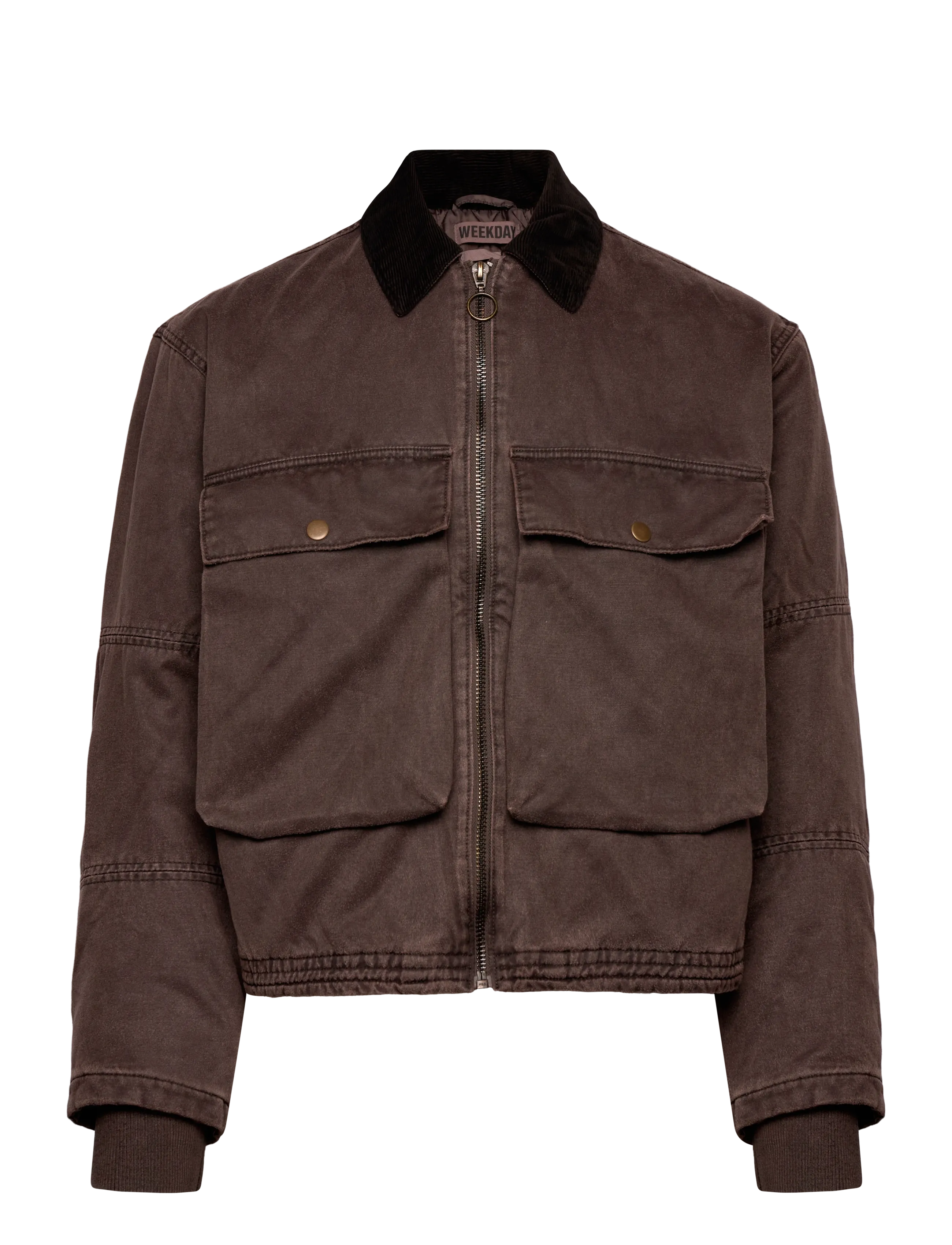 Weekday Transitional drawstring jacket - Kleidung - BROWN / brown