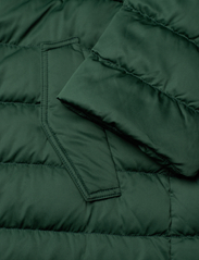 Weekend Max Mara - LAUDE - winter coats - dark green - 3