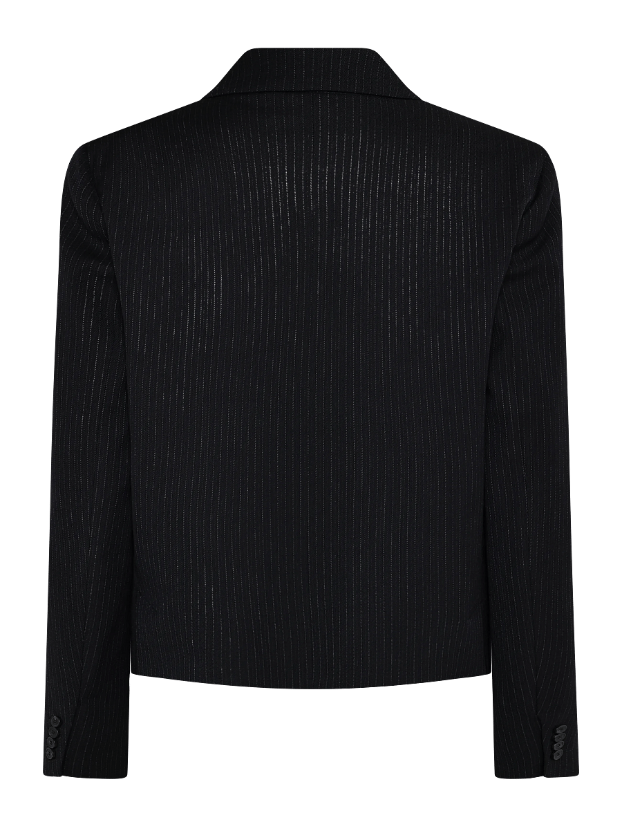 Weekend Max Mara - WKDCANAPA - zweireihige blazer - navy pinstripes - 1