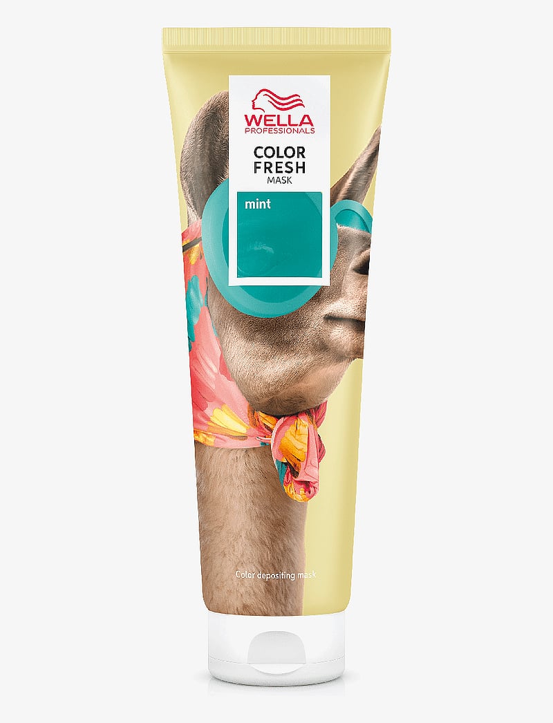 Wella Professionals - Wella Professionals Color Fresh Mask Mint 150ml - värvihooldused - mask mint - 1