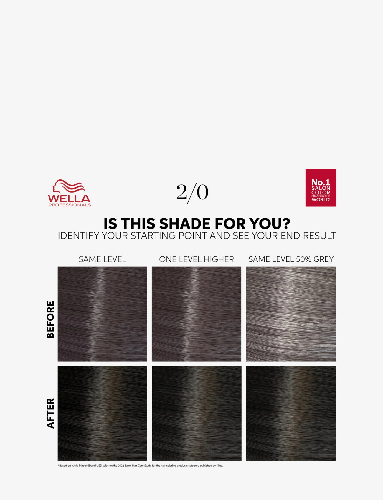 Wella Professionals - Wella Professionals Color Touch Pure Naturals Black 2/0 130 ml - püsijuuksevärvid - black - 1