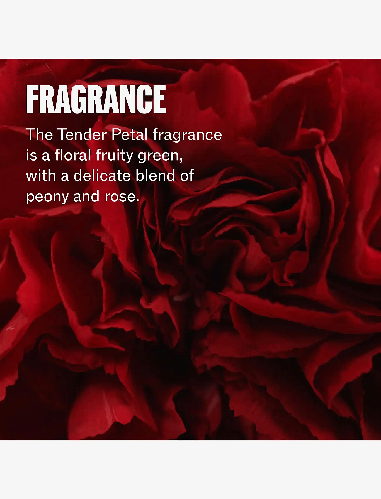 Wella Professionals - Wella Professionals Ultimate Repair Protective Leave In 95 ml - hårkure - no color - 5