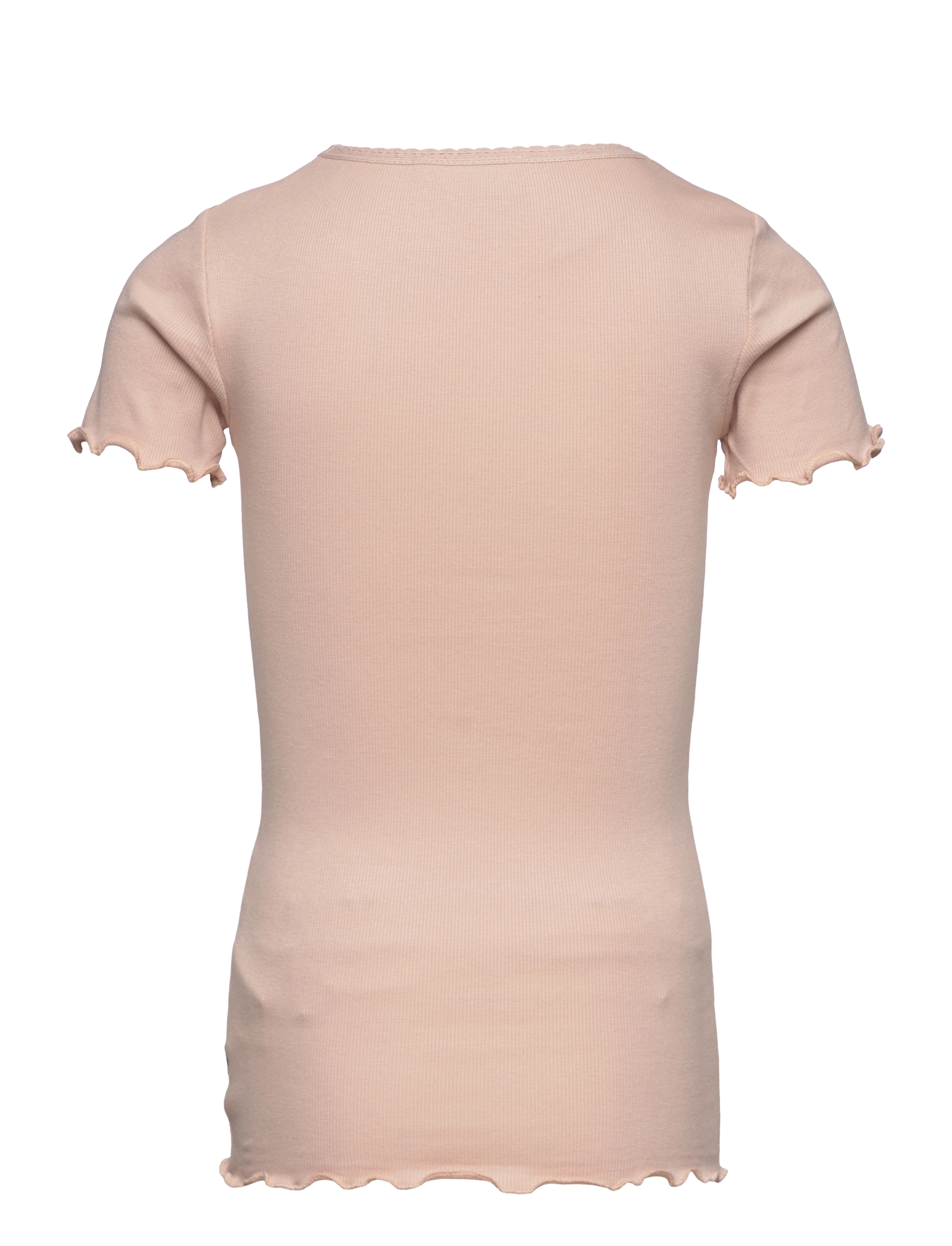 Wheat - Rib T-Shirt Lace SS - powder - 1