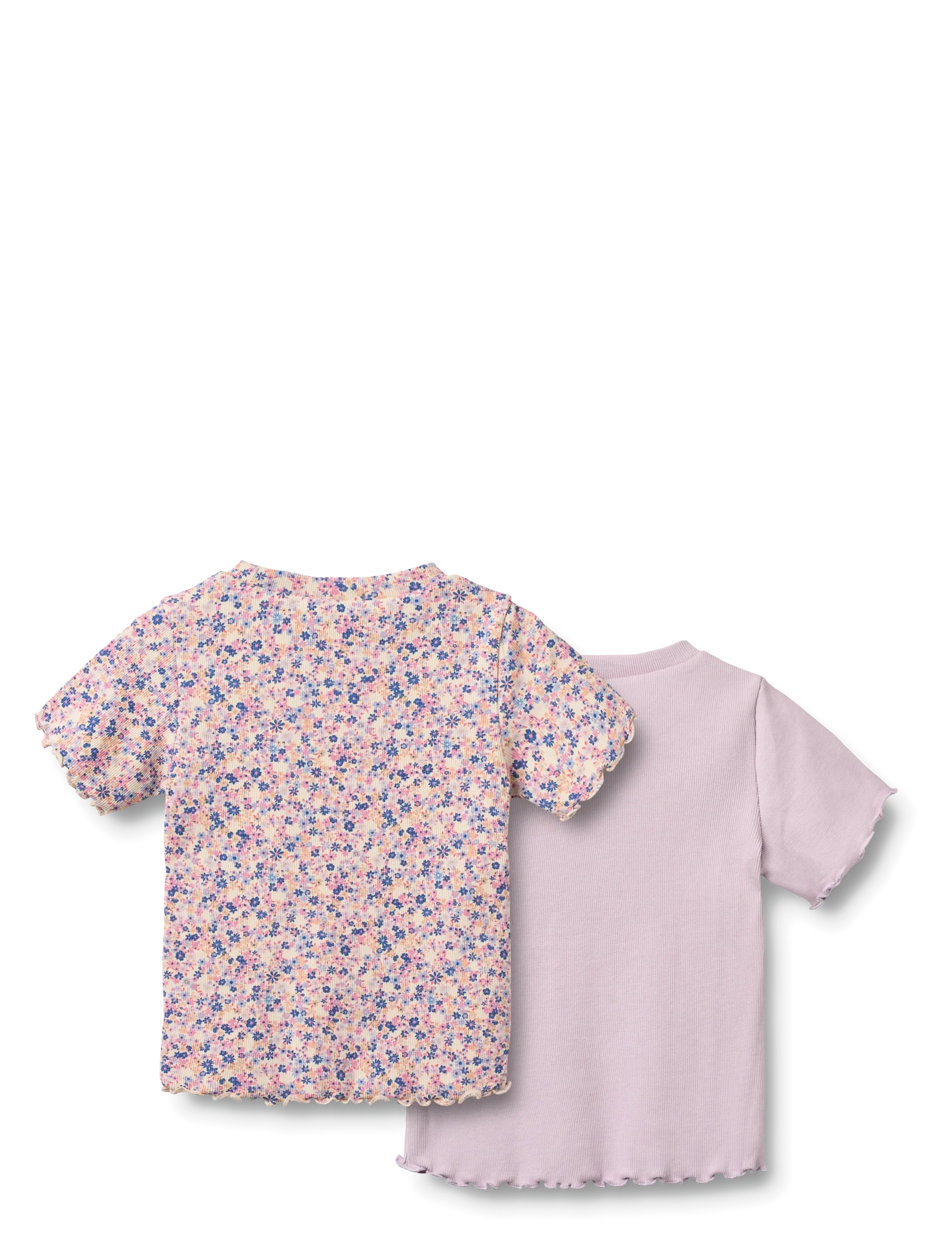 Wheat - 2 Rib T-shirt S/S Alicia - pink blue flowers - 1