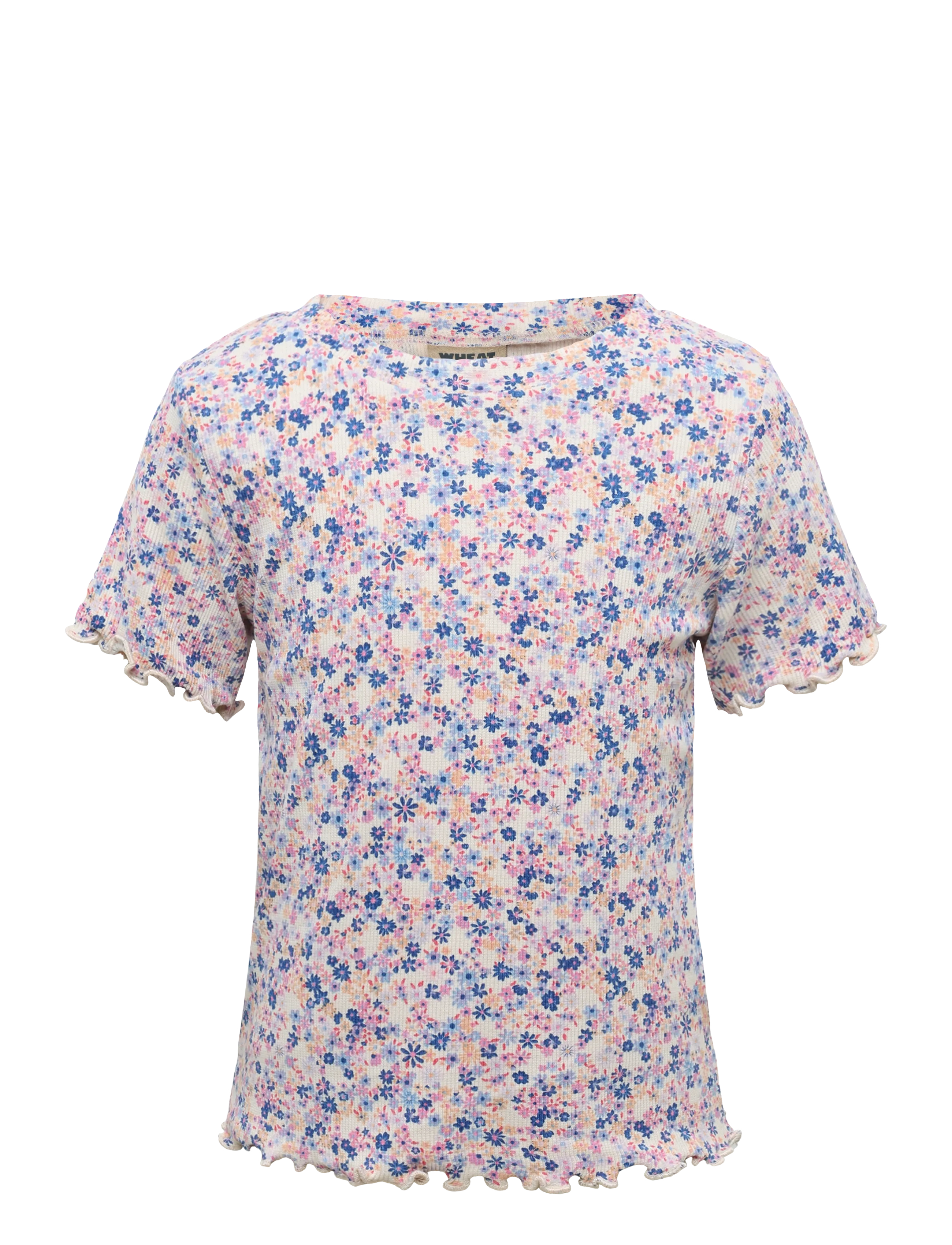 Wheat Rib T-shirt S/S Alicia - Back to school - PINK BLUE FLOWERS / cream