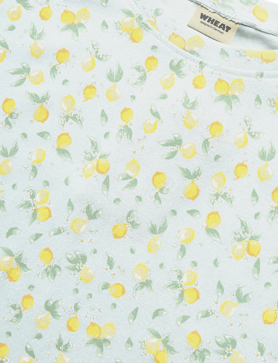 Wheat - T-shirt S/S Bette - kortærmede t-shirts - summer blue citrus - 2