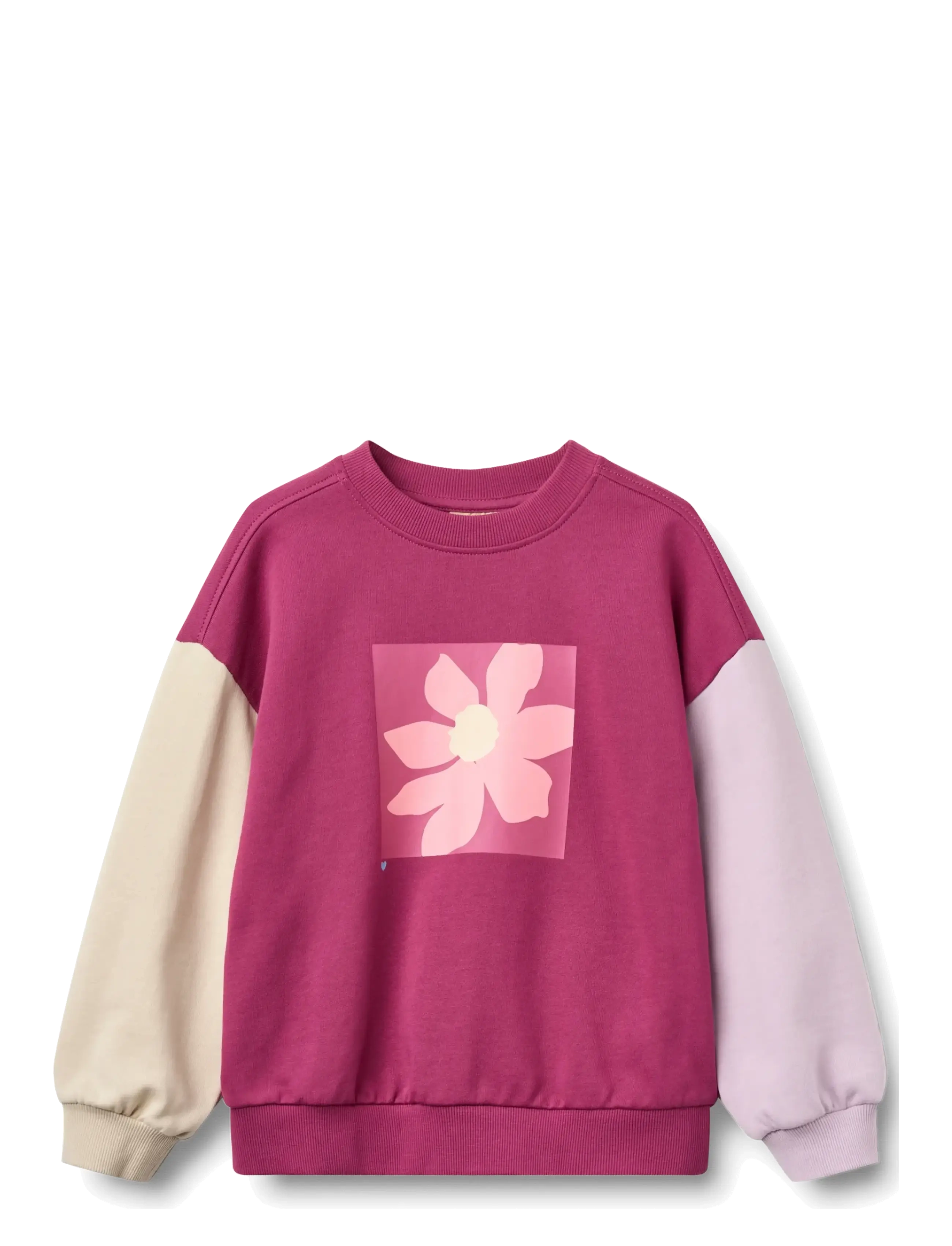 Wheat Sweatshirt L/S print Elliot - Shop by age - MAGENTA / multi