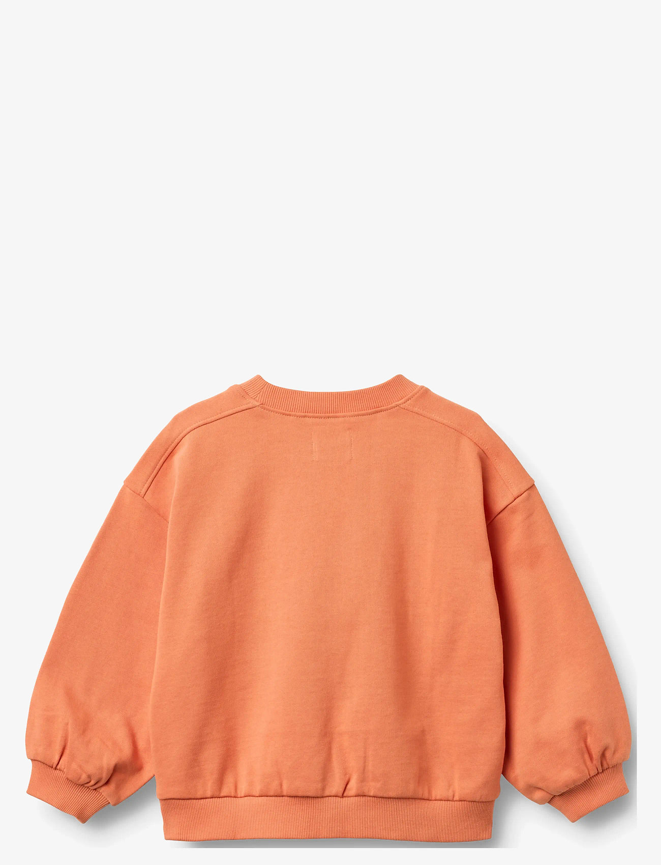 Wheat - Sweatshirt L/S Eliza - sweatshirts - sunkissed orange - 2