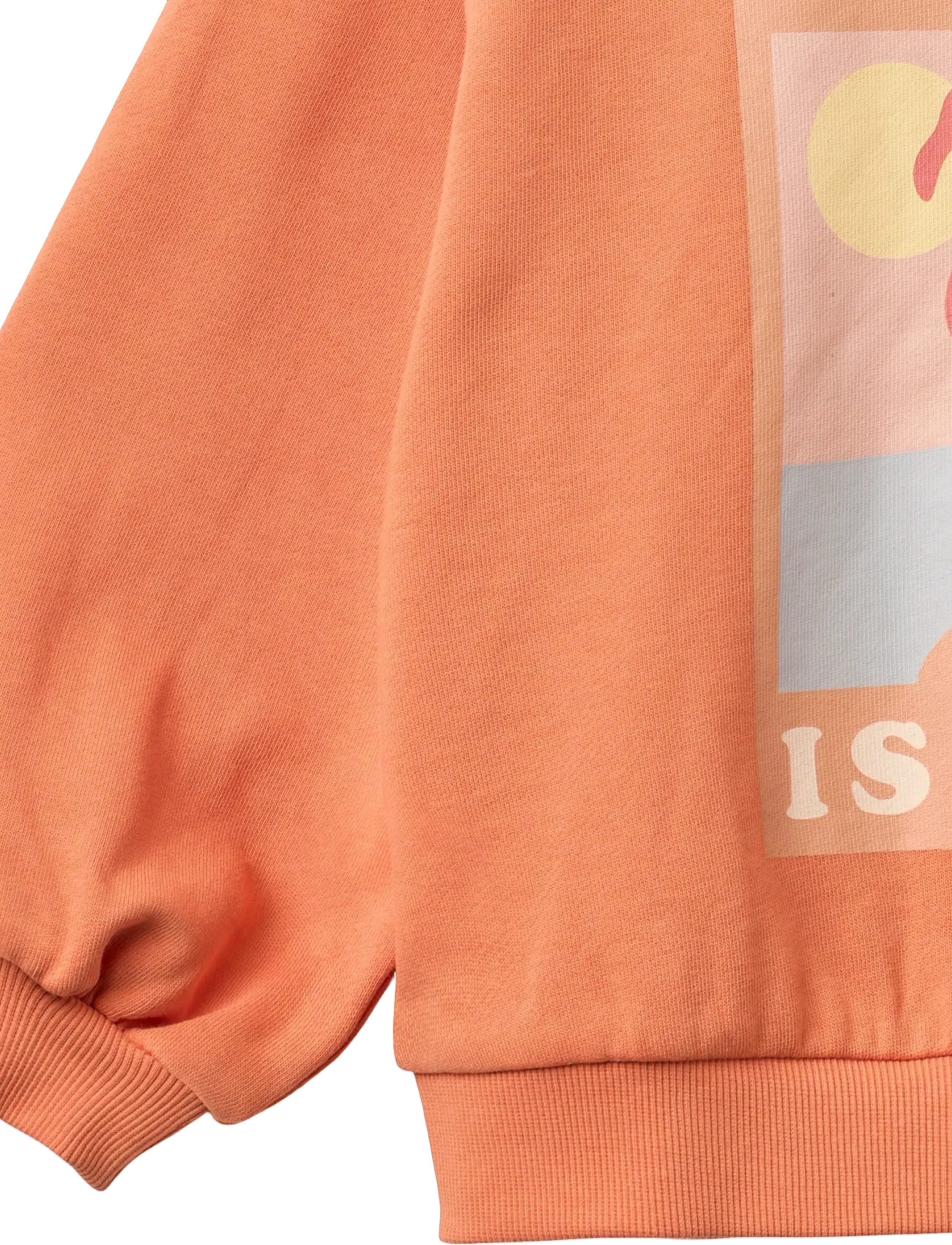 Wheat - Sweatshirt L/S Eliza - sweatshirts - sunkissed orange - 3