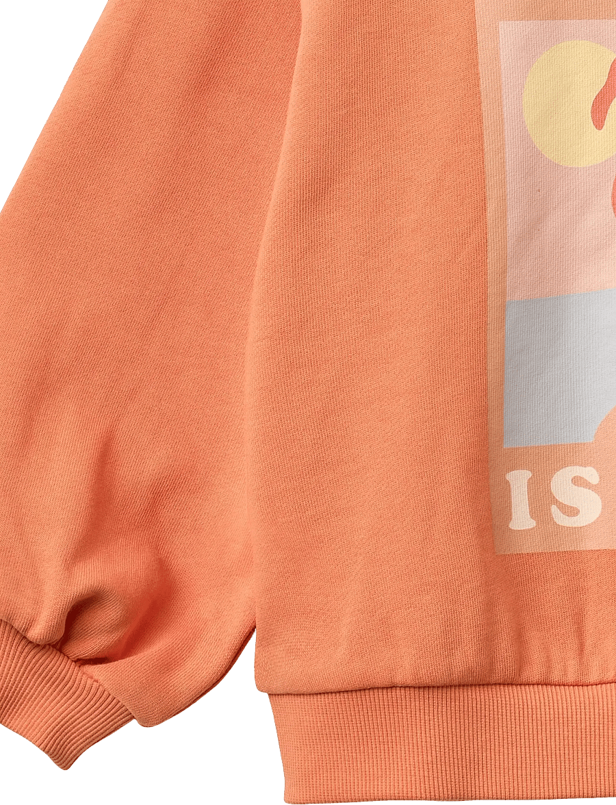 Wheat - Sweatshirt L/S Eliza - sweatshirts - sunkissed orange - 3
