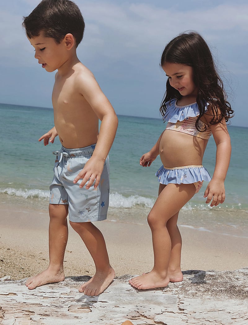 Wheat - Bikini Bothilda - bikiinid - morning sky hearts - 3