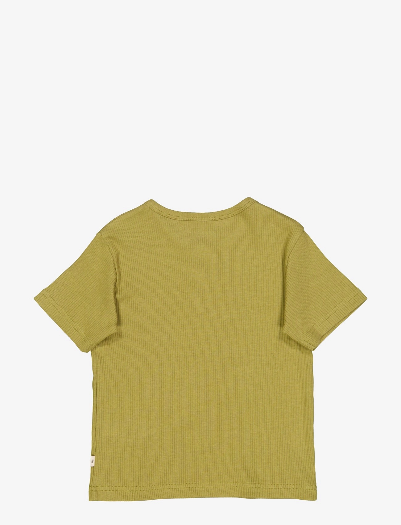 Wheat - T-Shirt Lumi - frog - 1