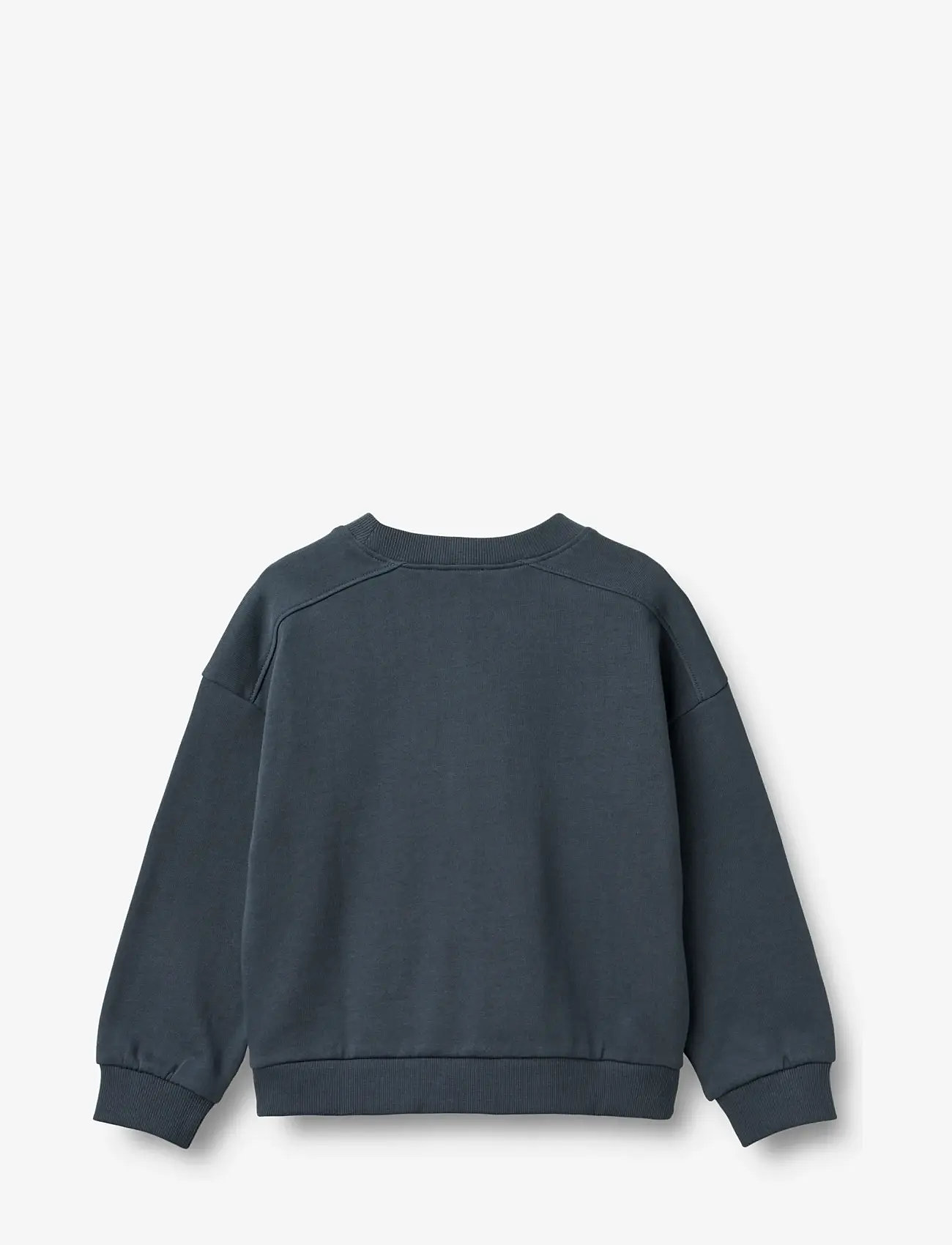 Wheat - Sweatshirt L/S Wave - collegepaidat - ink - 1