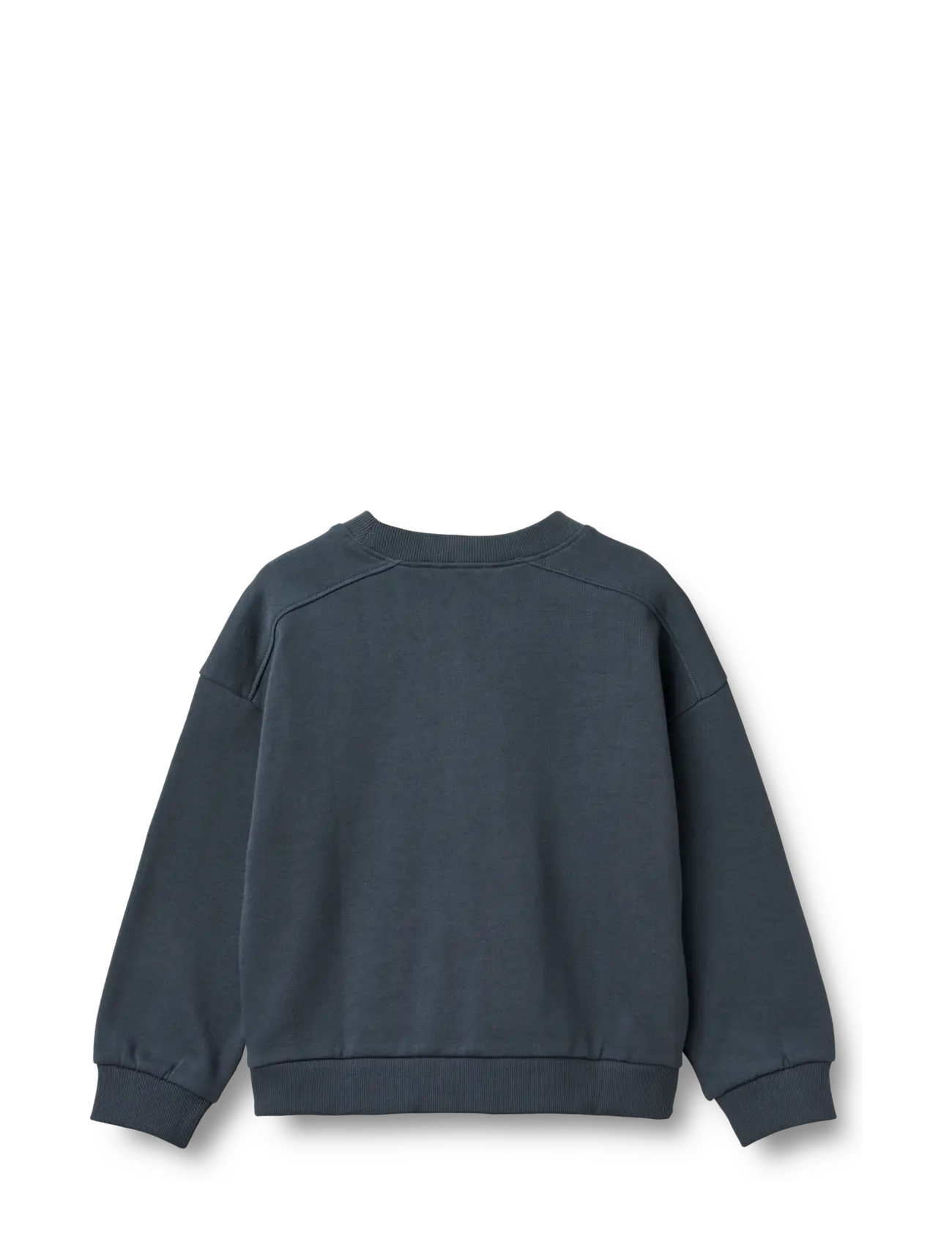 Wheat - Sweatshirt L/S Wave - sweatshirts - ink - 1