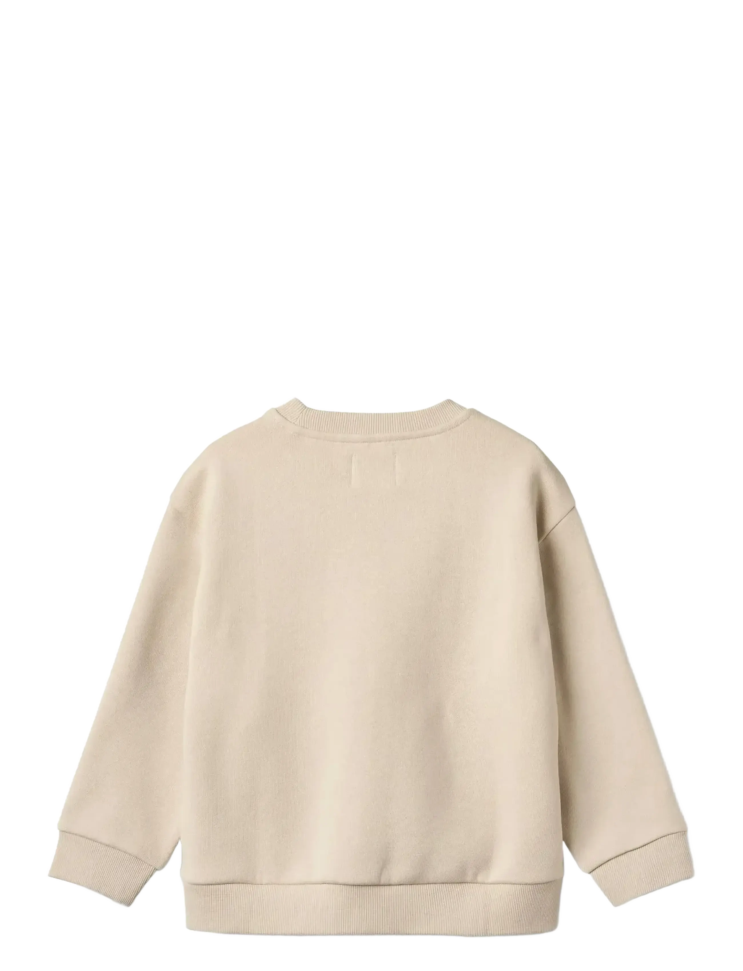 Wheat - Sweatshirt L/S print Steff - dressipluusid - winter blue - 1