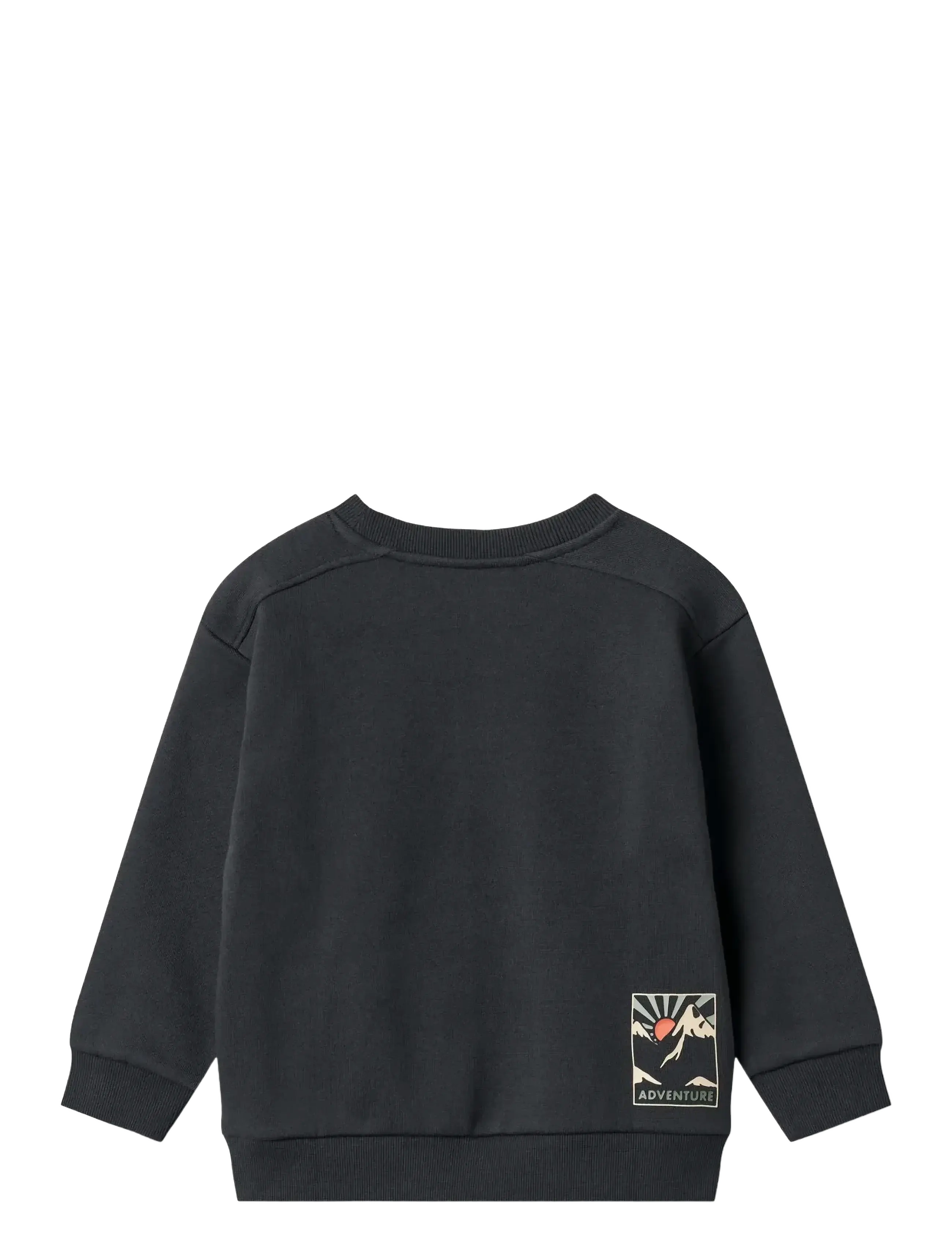 Wheat - Sweatshirt L/S block Ellis - navy - 2