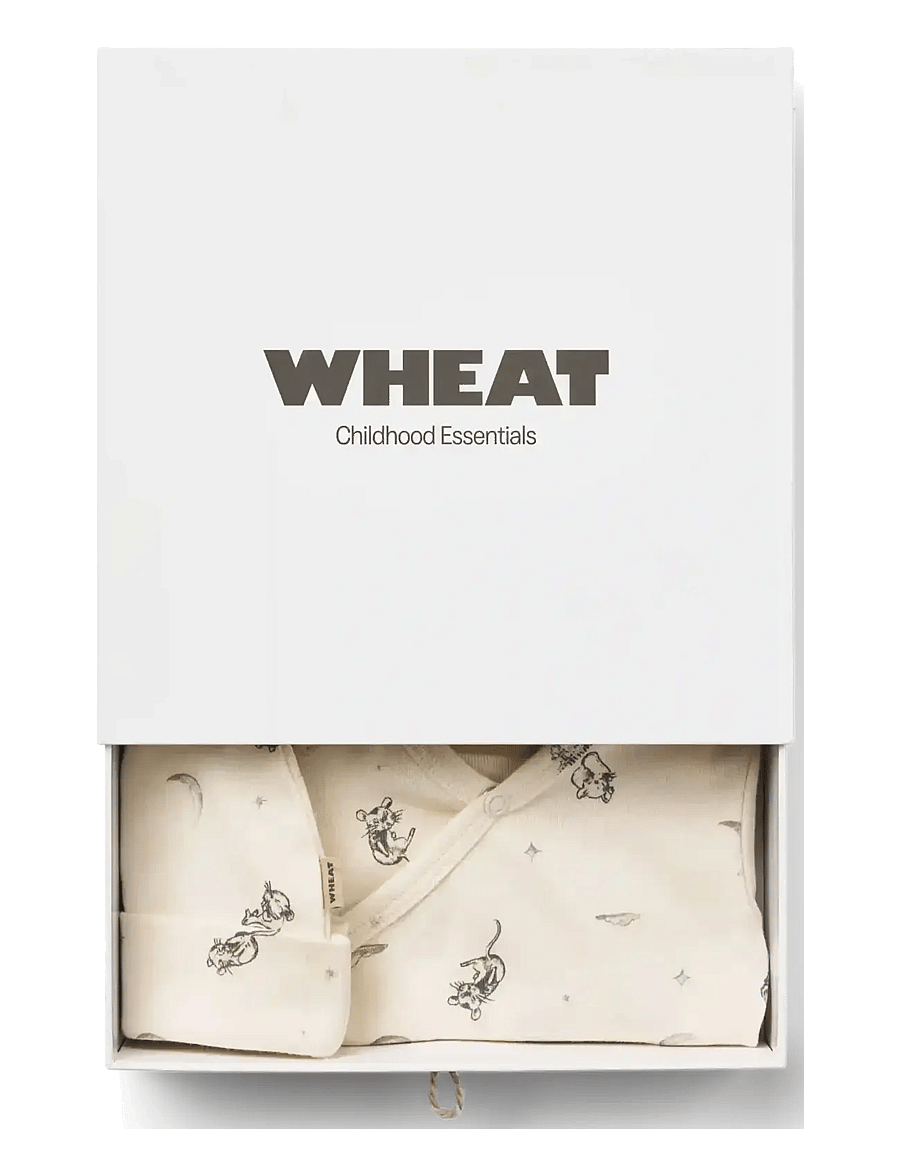 Wheat - Giftbox Jude Baby Set - komplektid bodiga - dreaming mouse - 1