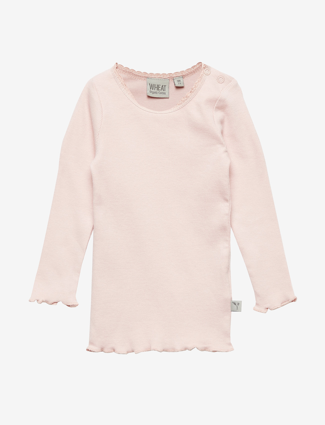 SOFT ROSE