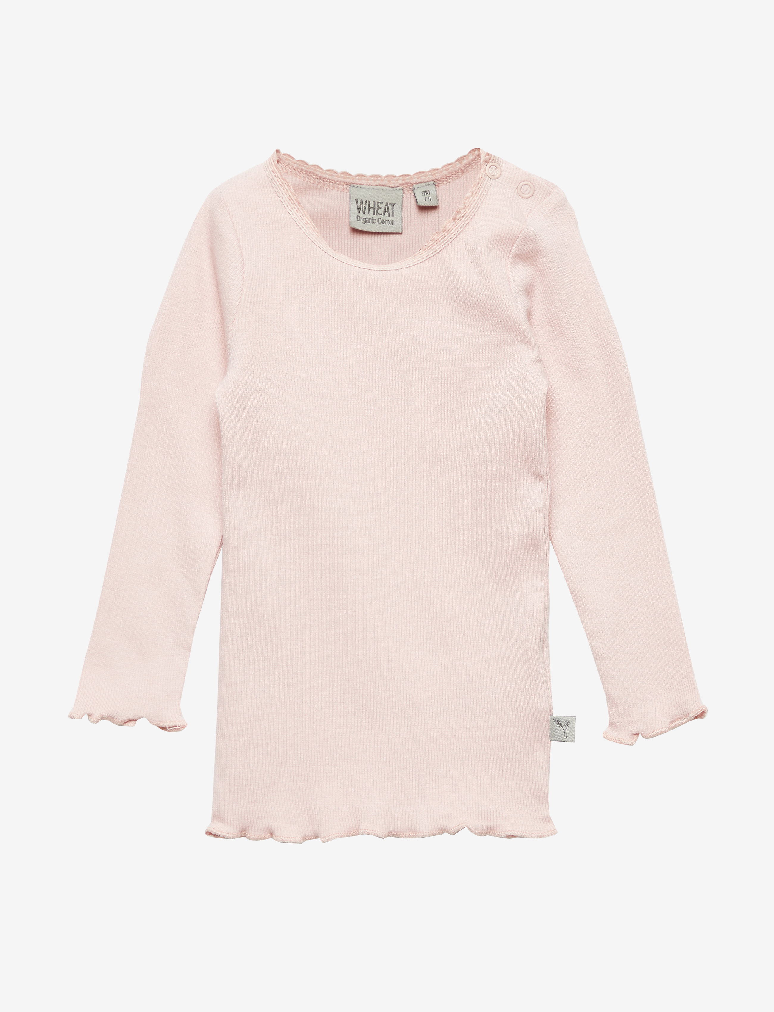 SOFT ROSE