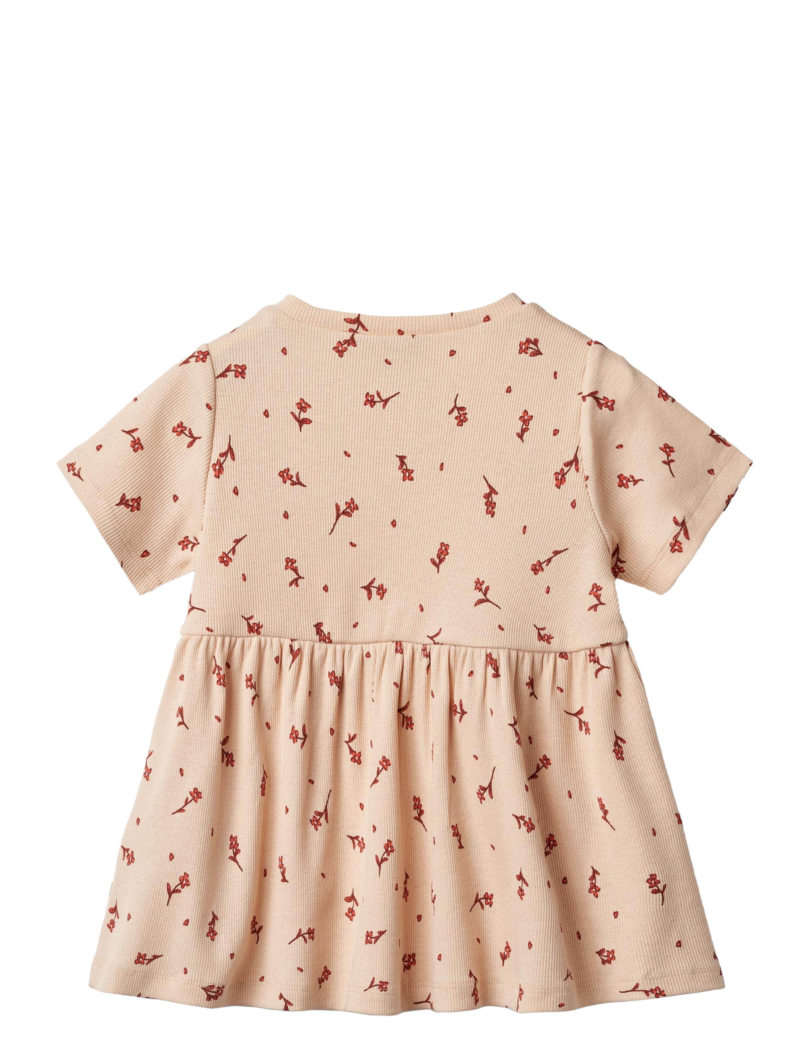 Wheat - Jersey Dress Anna - kurzärmelige babykleider - rose water flowers - 1