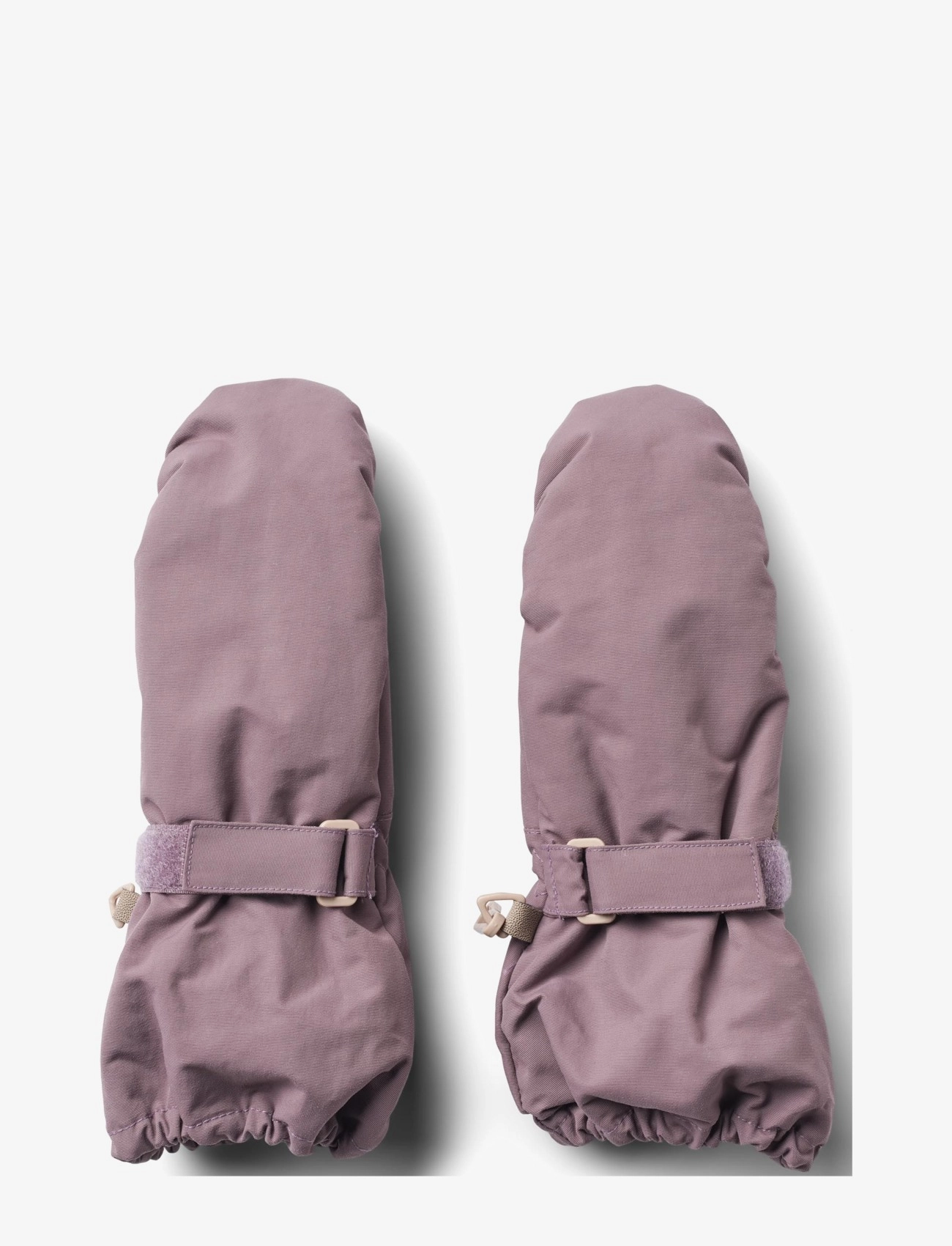 DRY LILAC