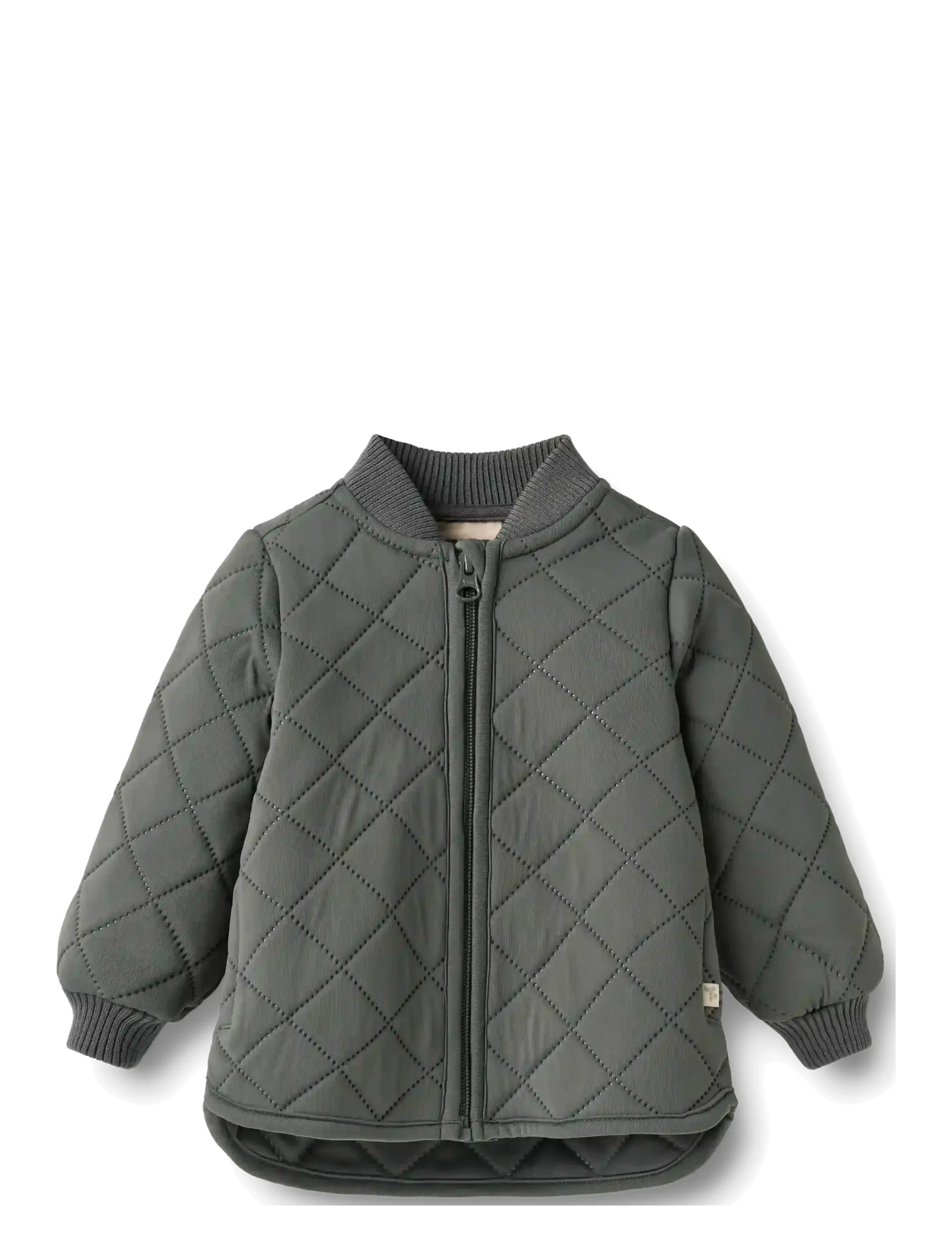 Wheat Thermo Jacket Loui - Thermo jackets - DARK SHADOW / grey