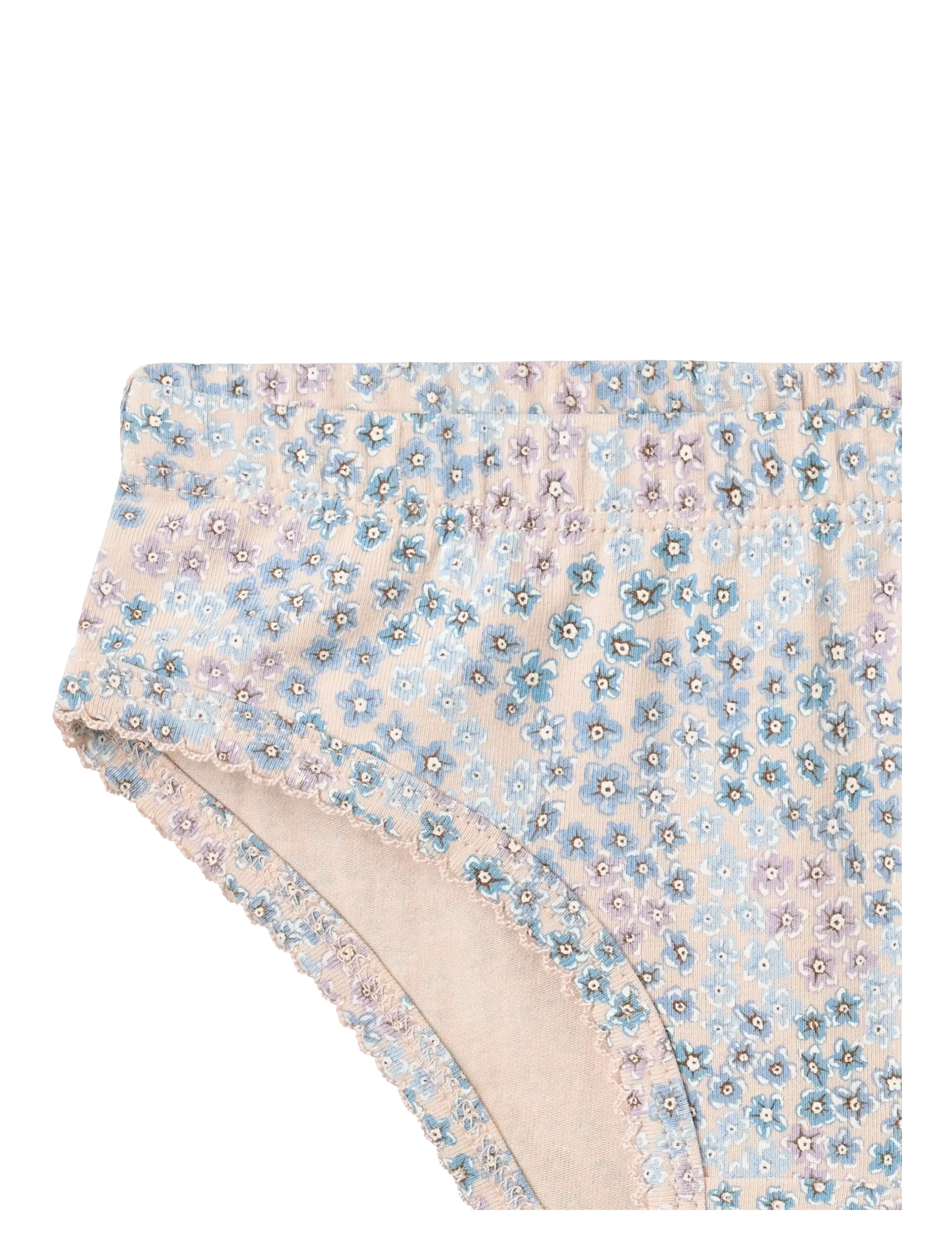 Wheat - 2 Briefs Havanna - alushousut - powder blue flowers - 4