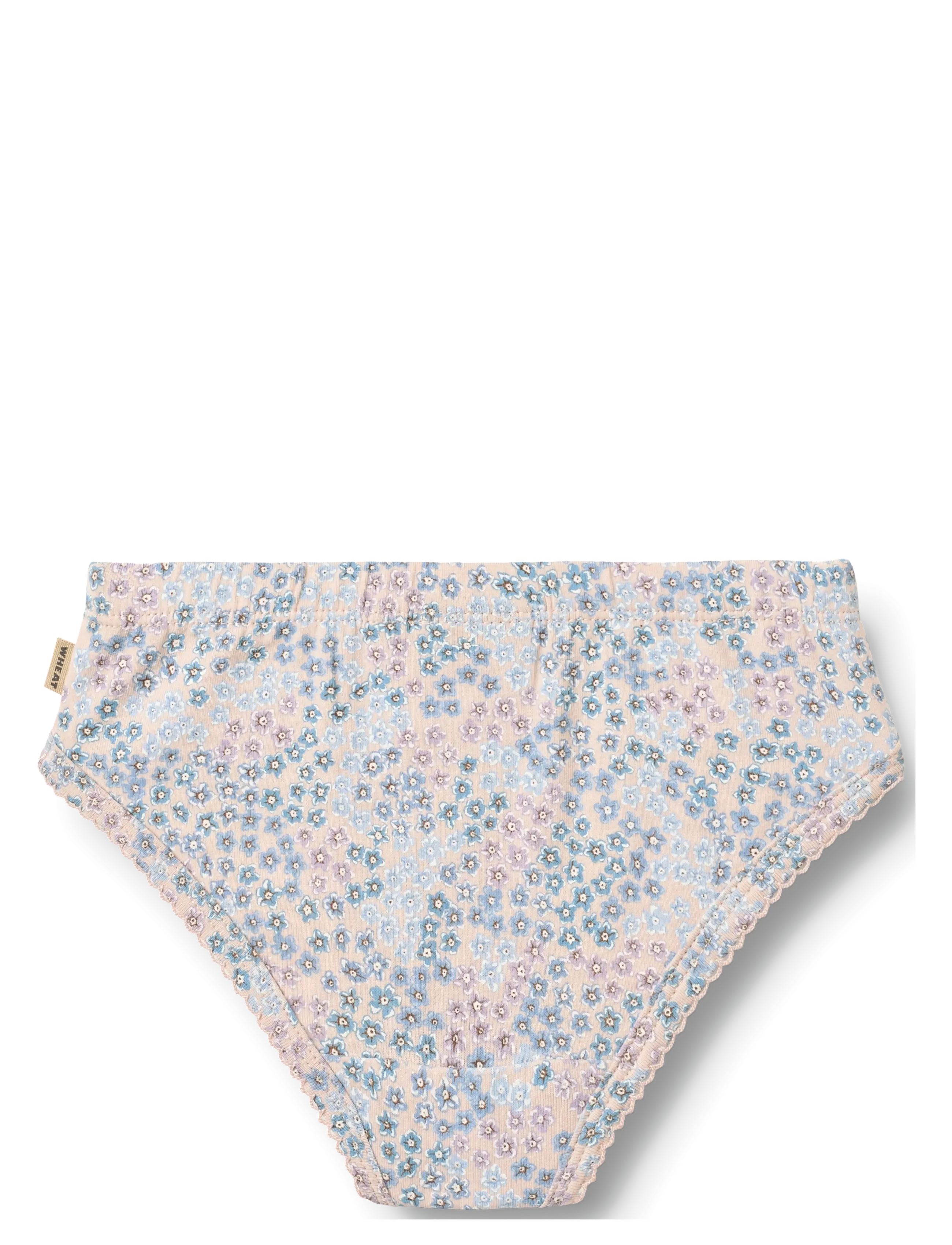 Wheat - 2 Briefs Havanna - alushousut - powder blue flowers - 5