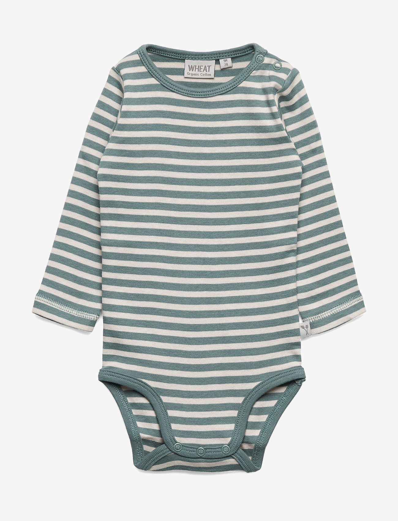 Body Plain - PETROLEUM