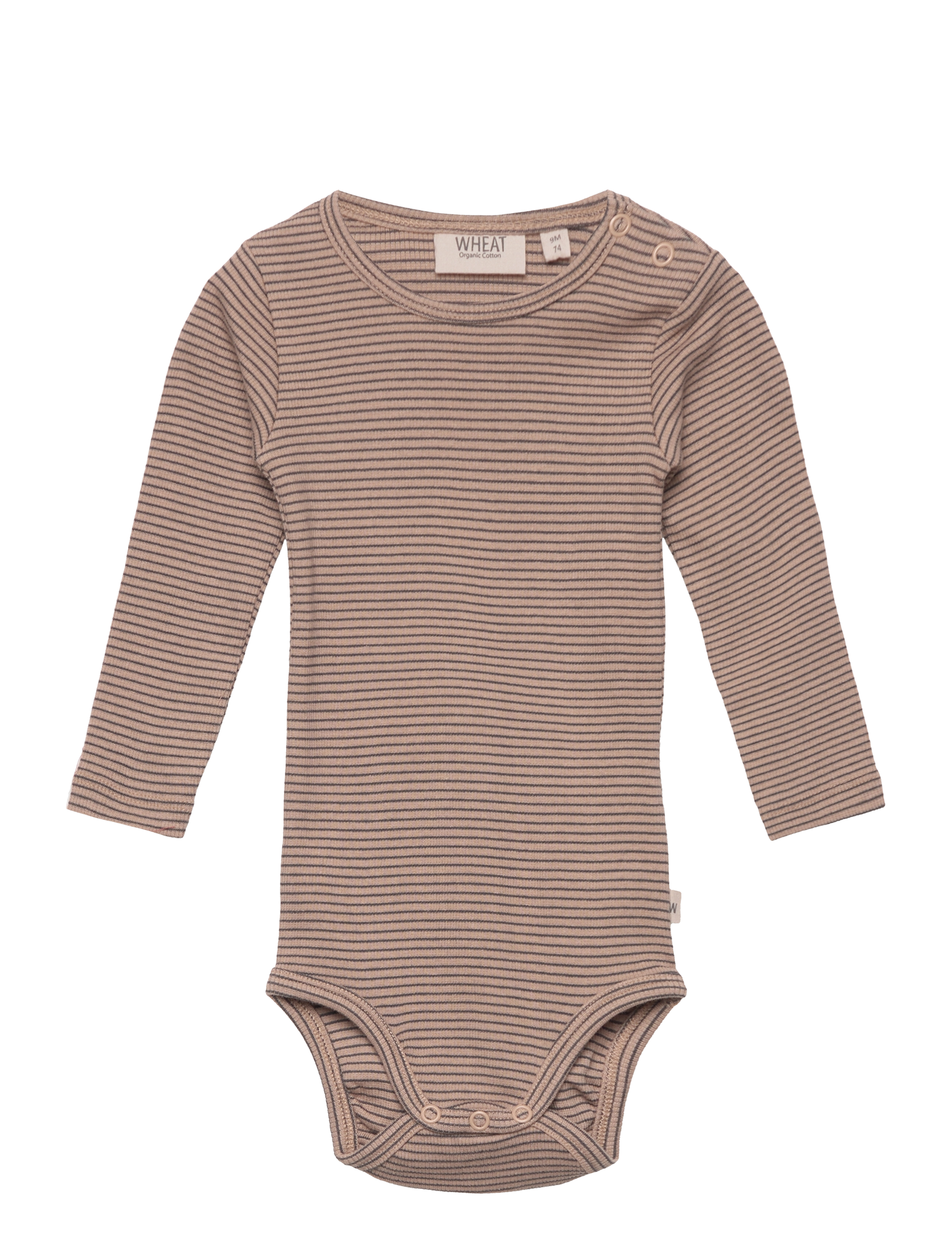 Body Rib - AFFOGATO STRIPE