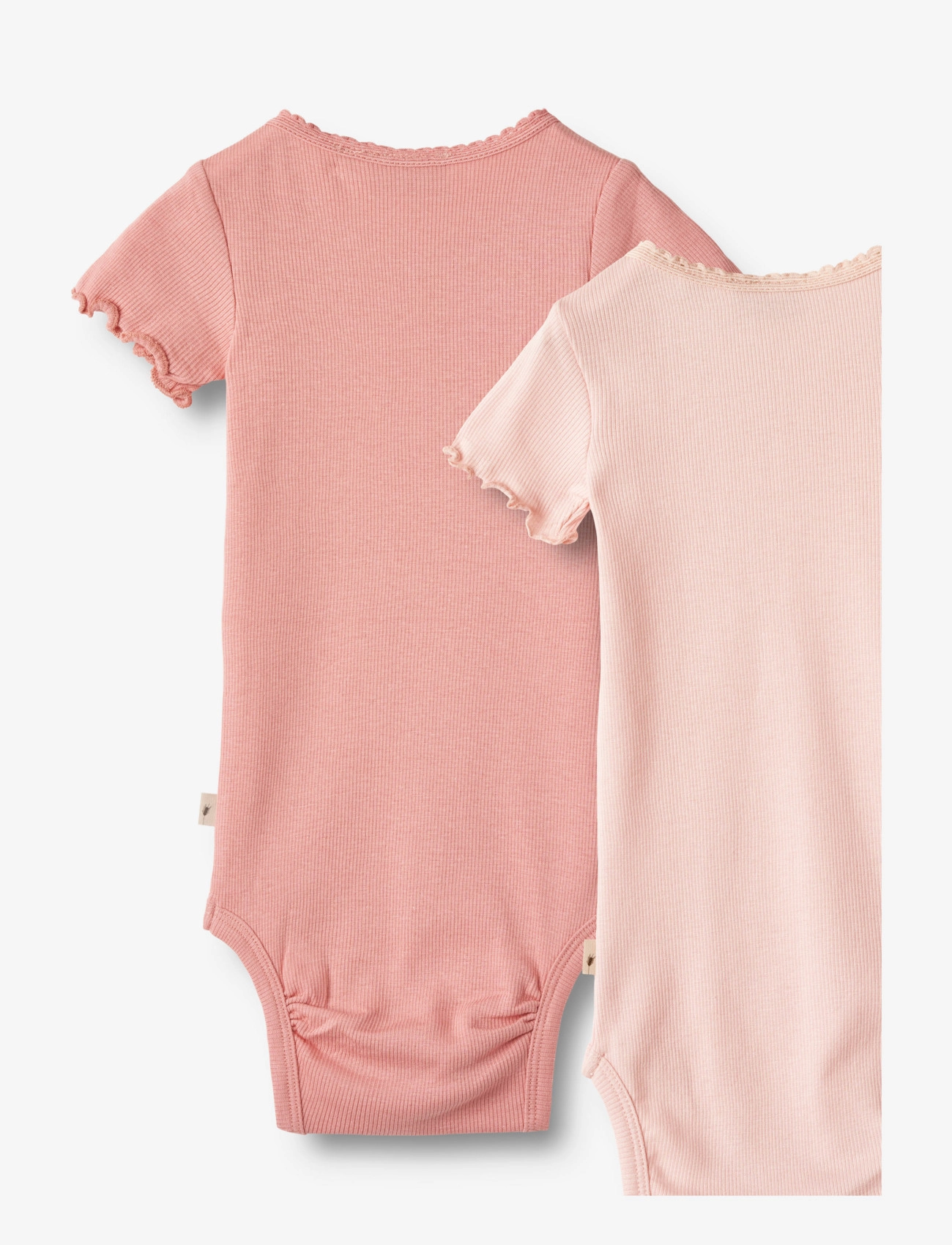 Wheat - 2 Rib Body S/S Edna - rosette ballet - 1