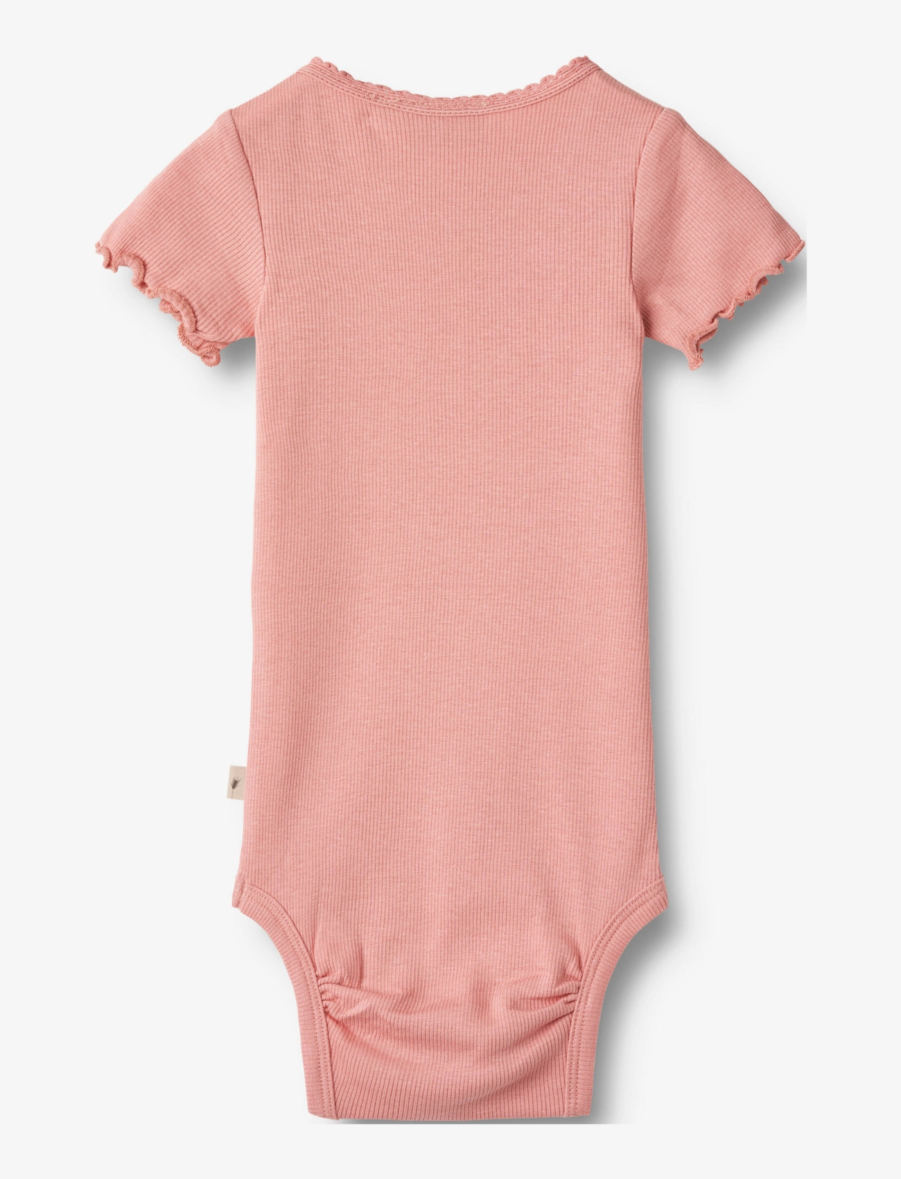 Wheat - 2 Rib Body S/S Edna - rosette ballet - 3