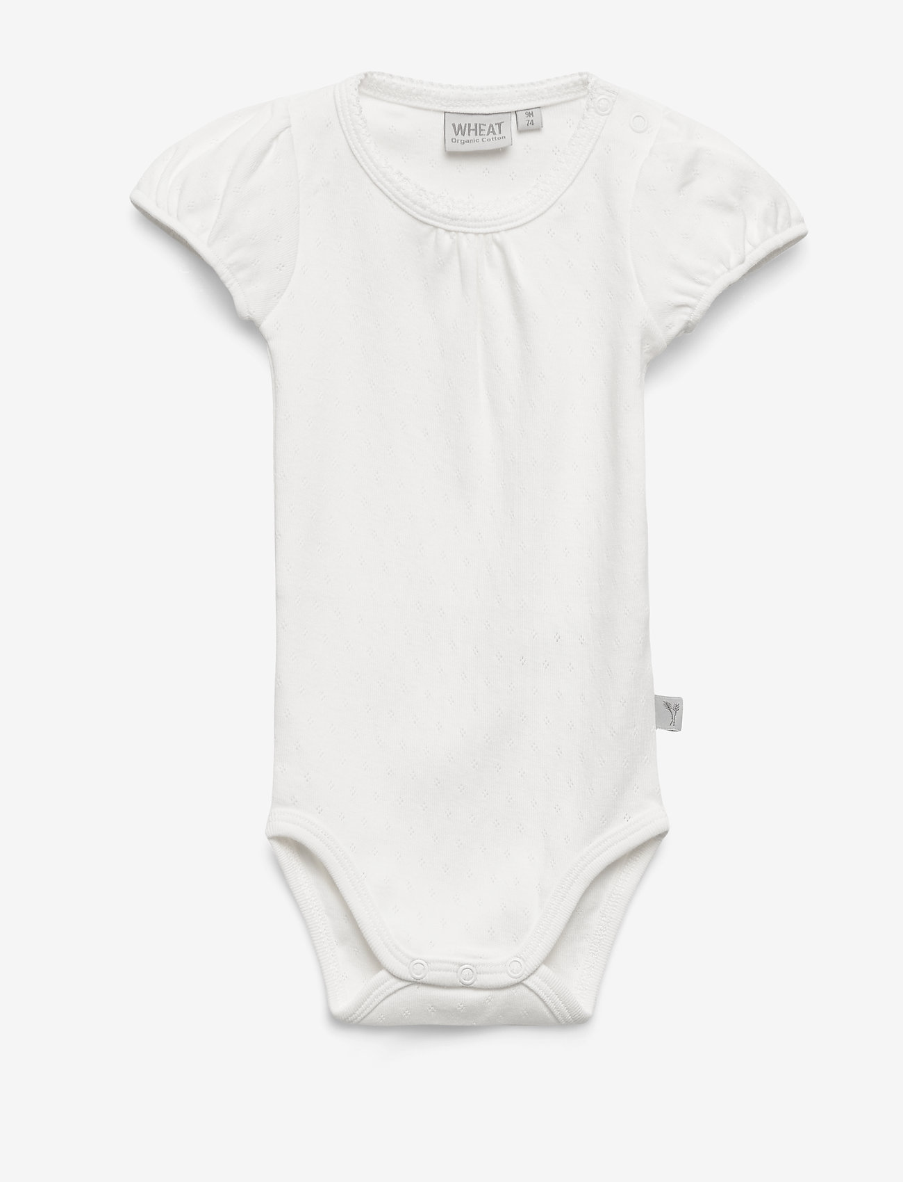 Body Frill SS - IVORY