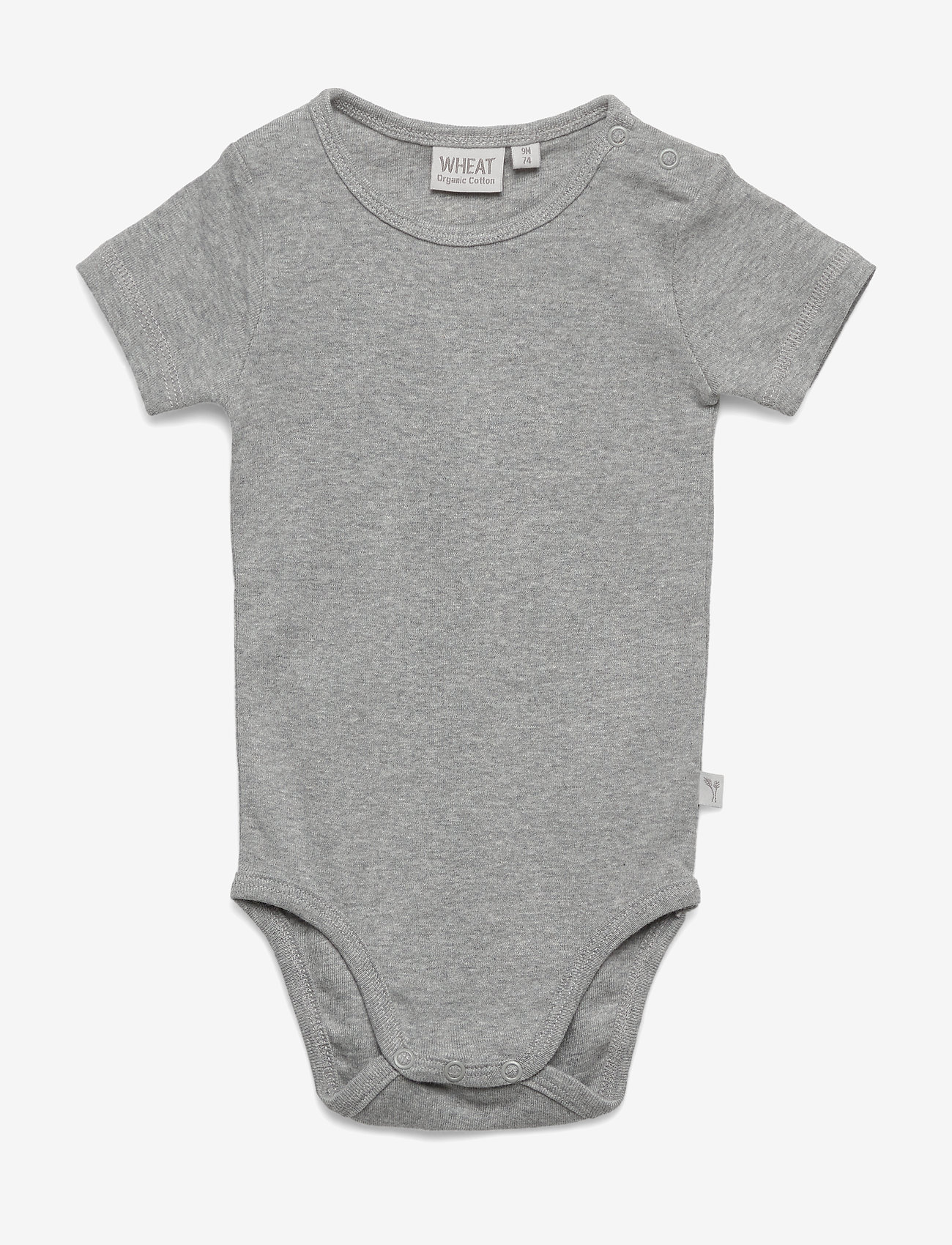 Body Plain SS - MELANGE GREY