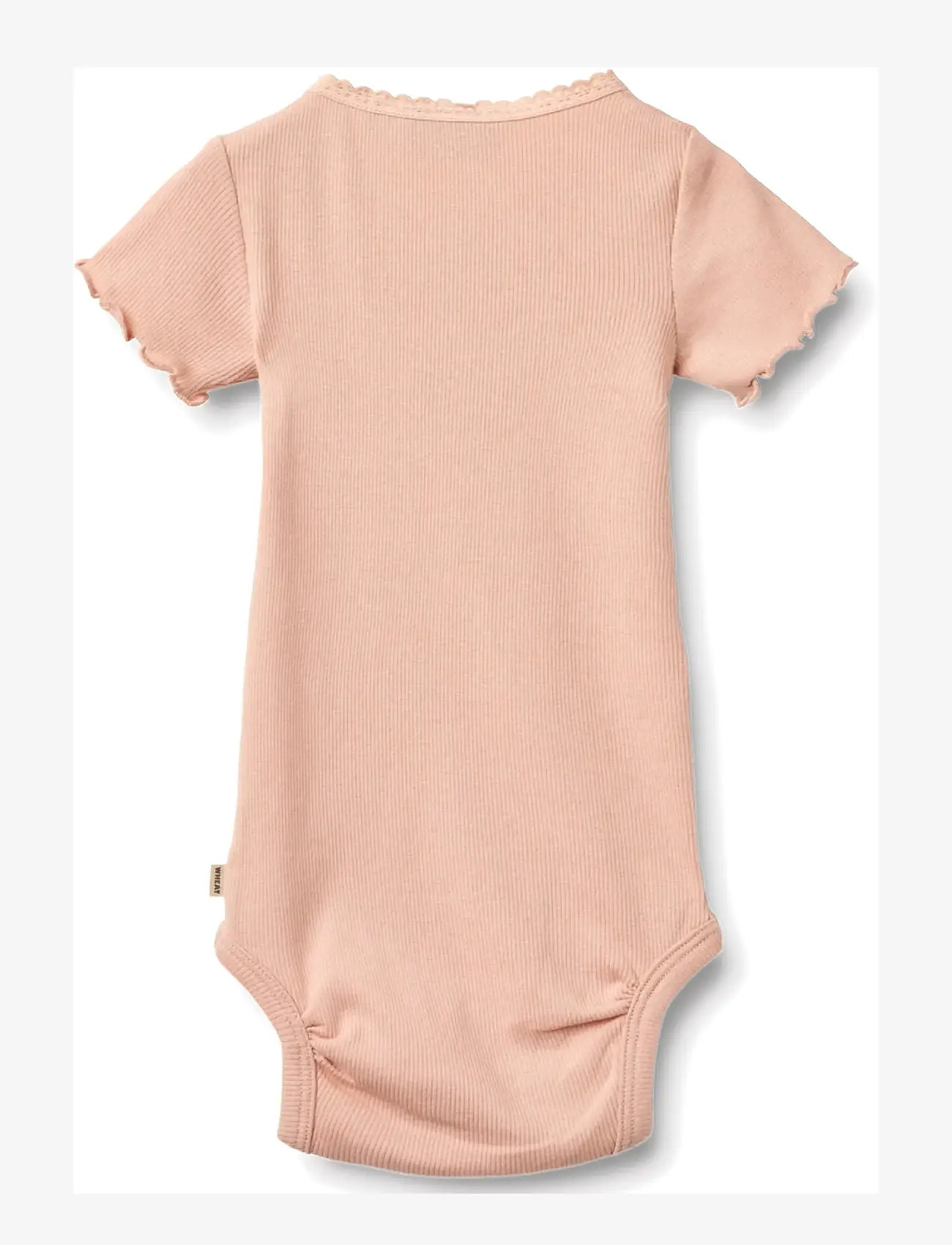 Wheat - Rib Body S/S Edna - kortærmede bodyer - rose cloud - 1