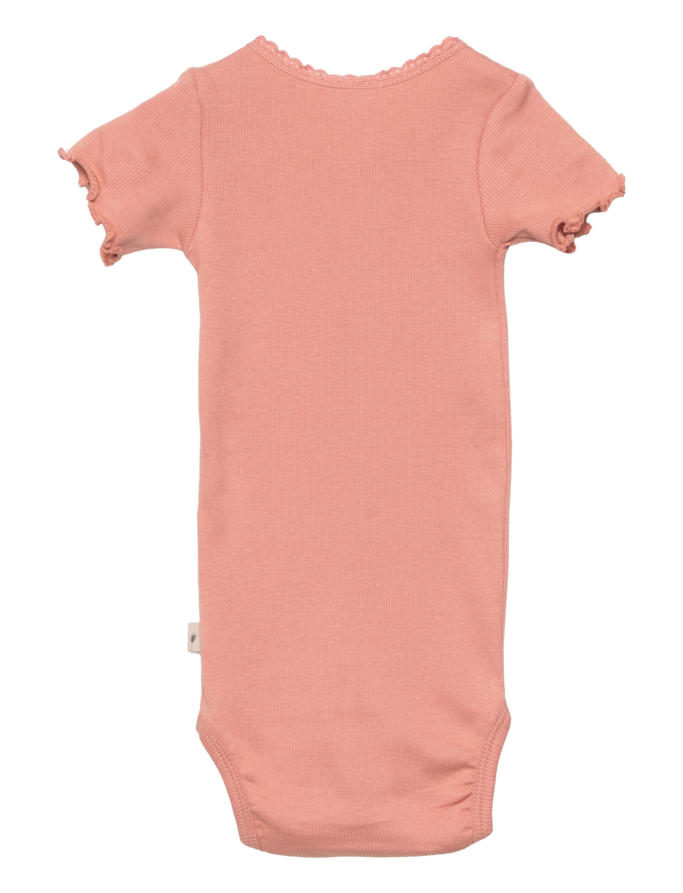 Wheat - Body Rib Lace SS - cameo brown - 1