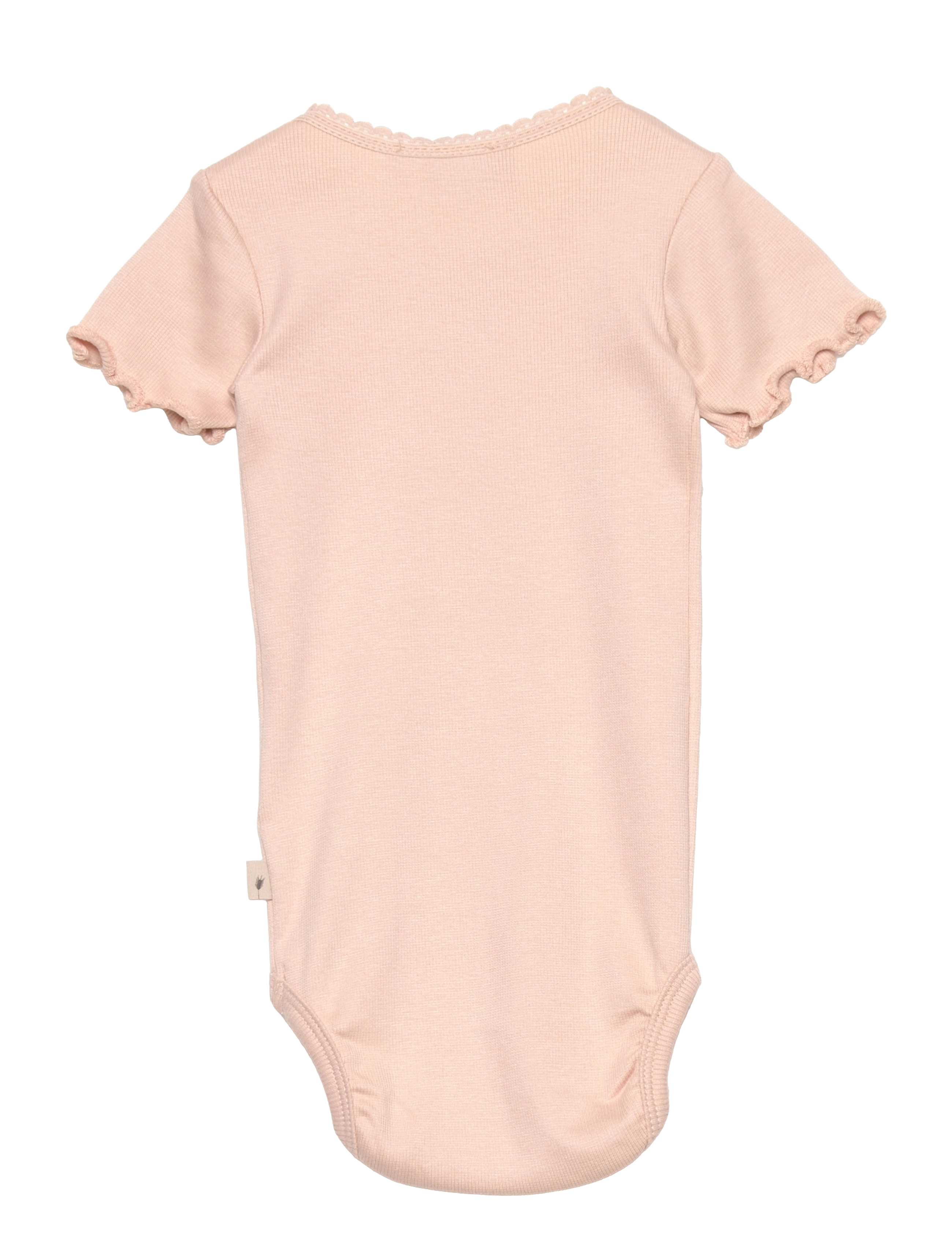 Wheat - Body Rib Lace SS - powder - 1