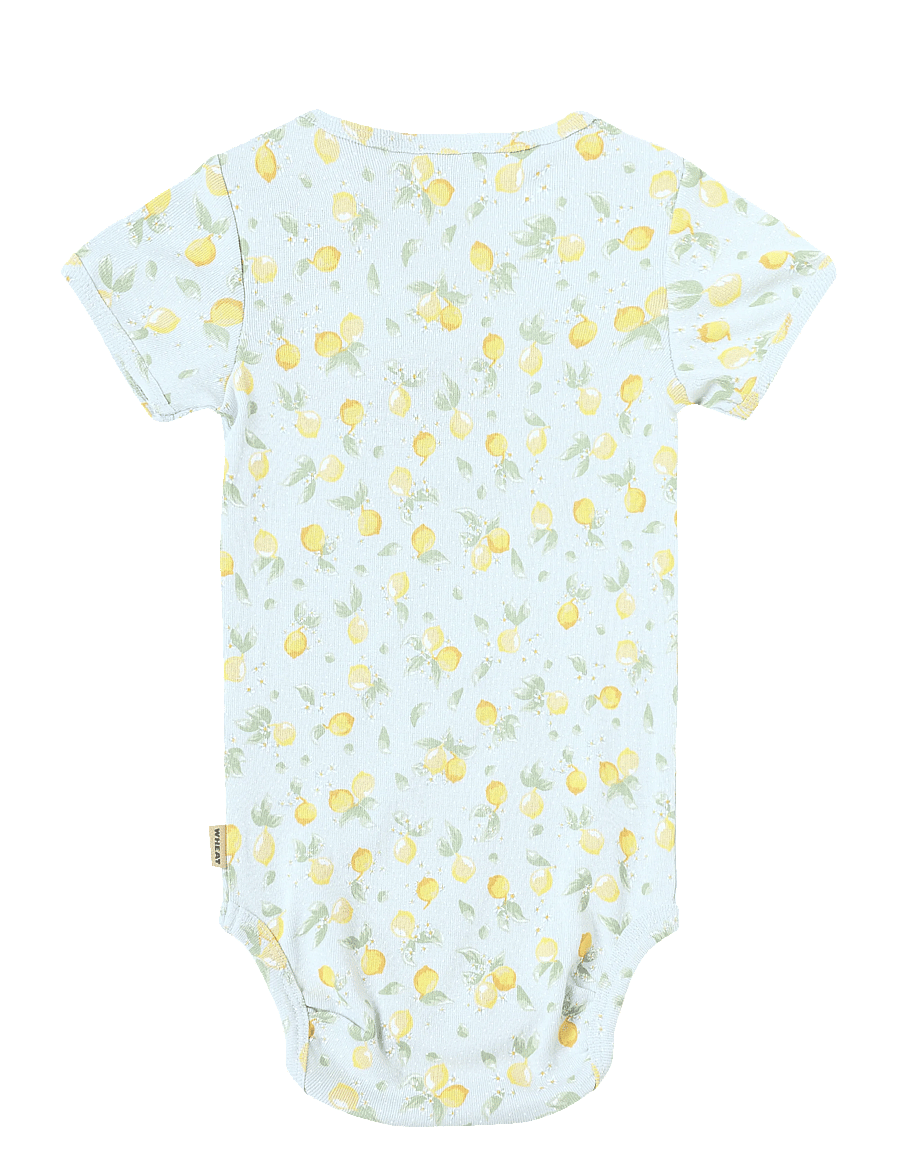 Wheat - Body S/S Linette - kortärmade bodies - summer blue citrus - 1